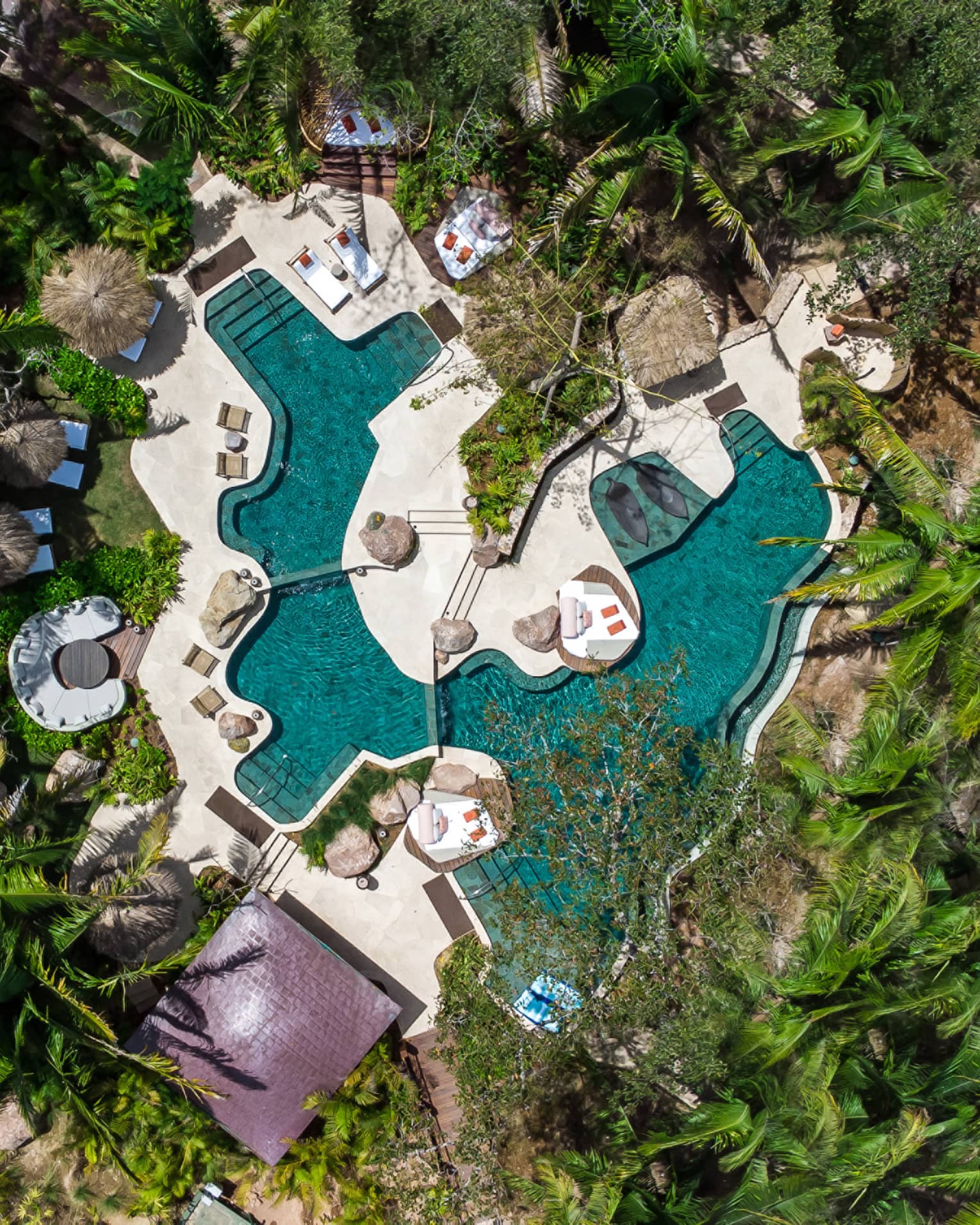 A bird's-eye view of an outdoor plunge pool in a luxury tent resort, surrounded by lush greenery