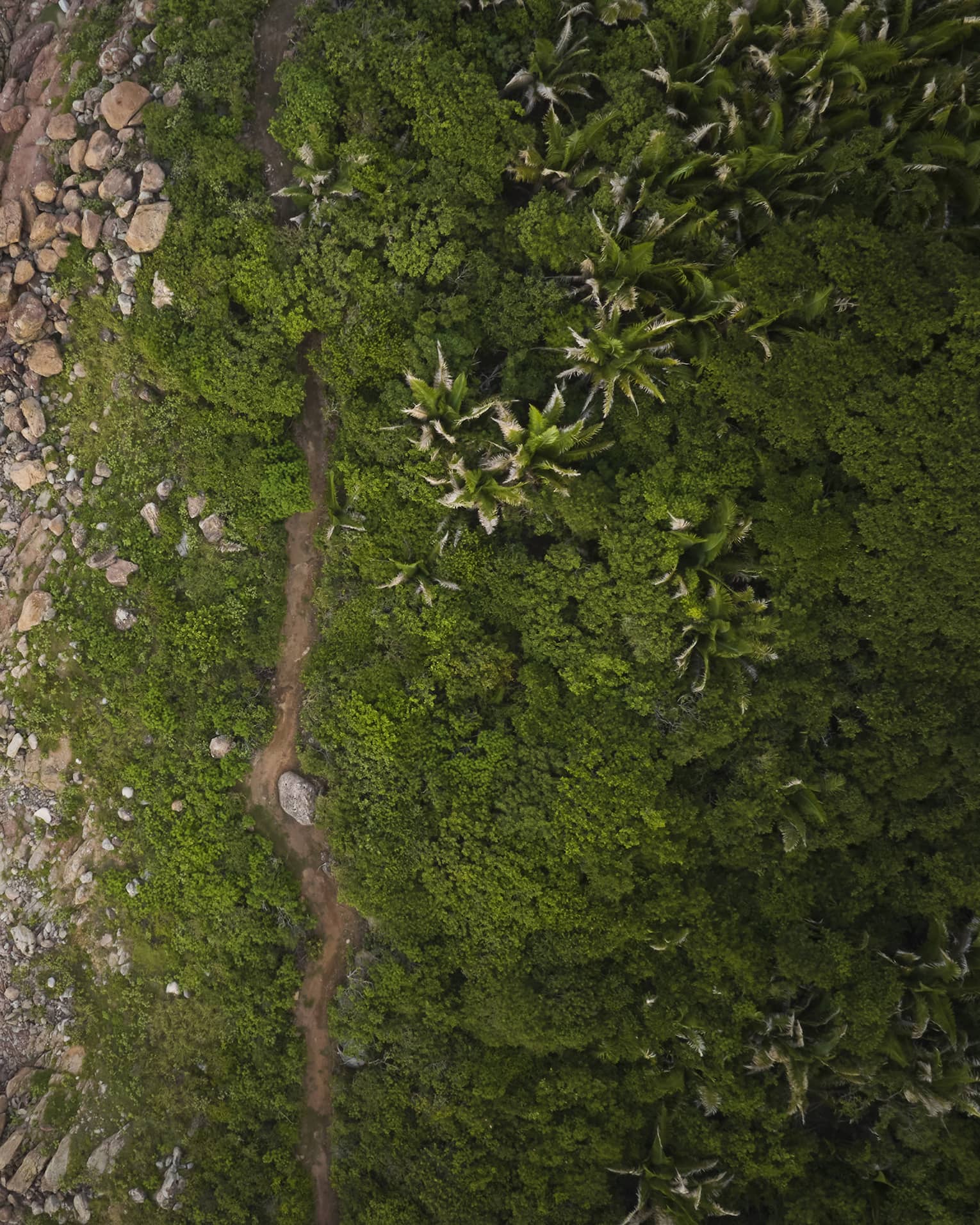 Aerial view of a rocky beach