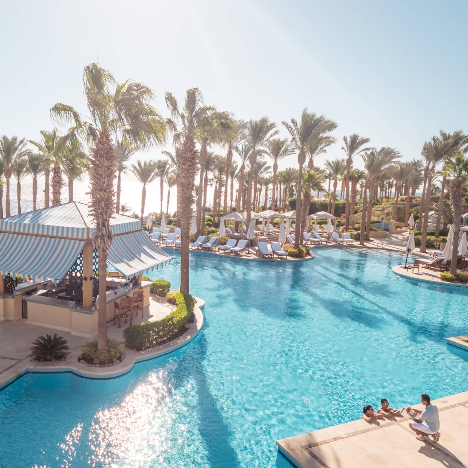 Palm trees shade the turquoise water of a large swimming pool lined with deck chairs and surrounding a central cabana bar.
