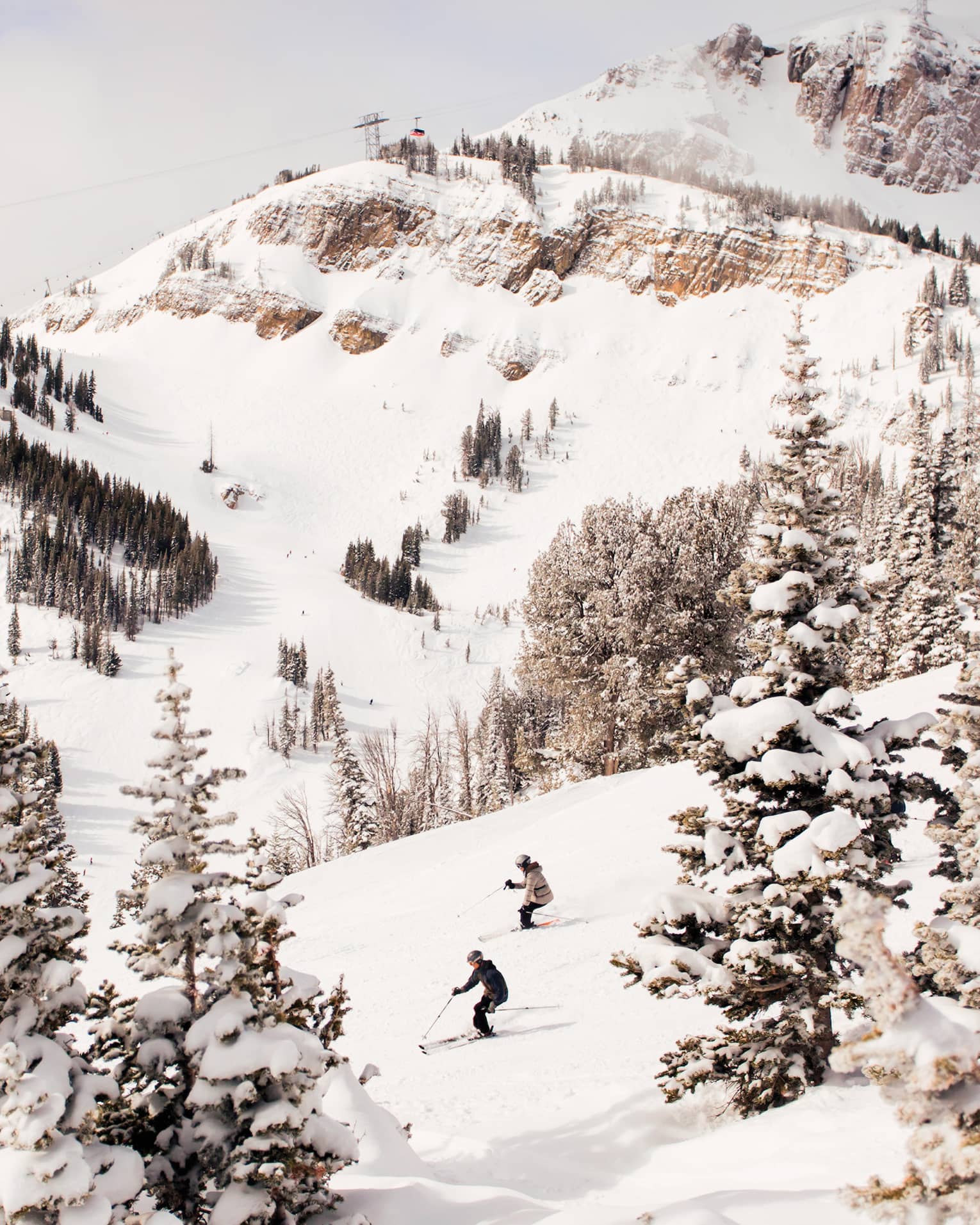 Aerial view of two skiers high up on mountain slope between trees 