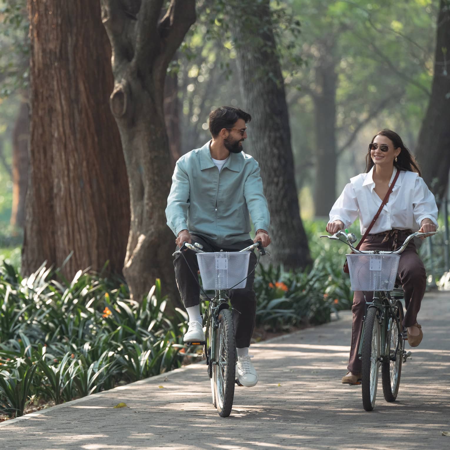 Two people ride bicycles down a tree-lined street.