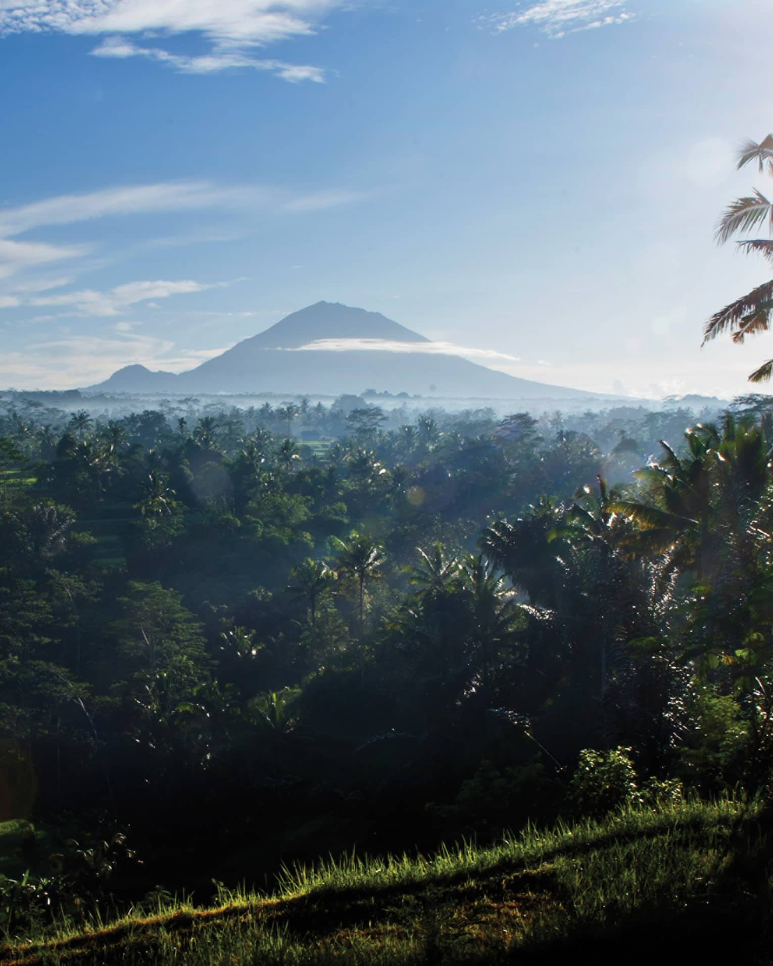 Distant volcanoes rise above the clouds and loom over a dense palm tree forest bathed in the glow of a blazing white sun.