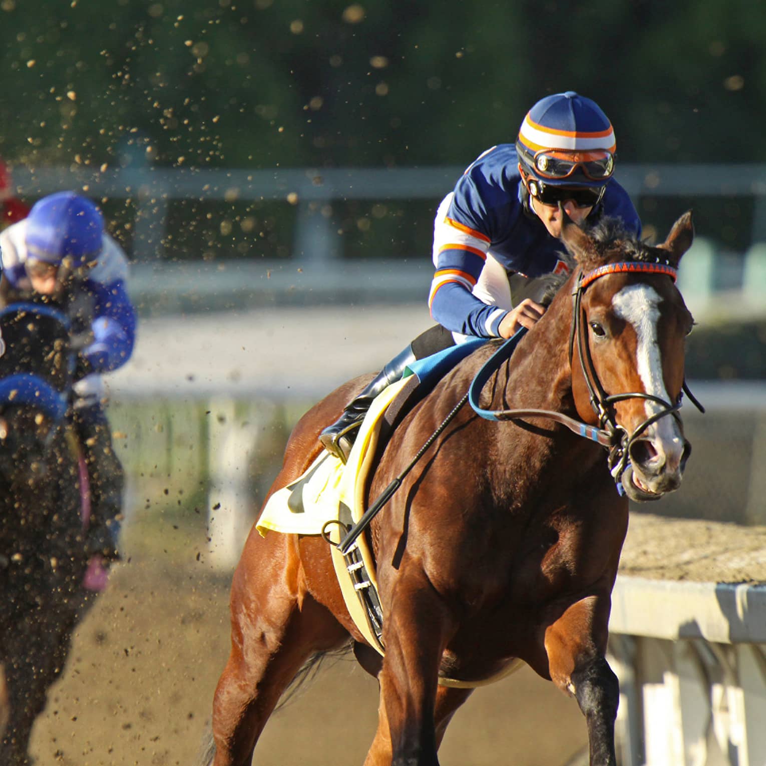 People riding horses in a race.