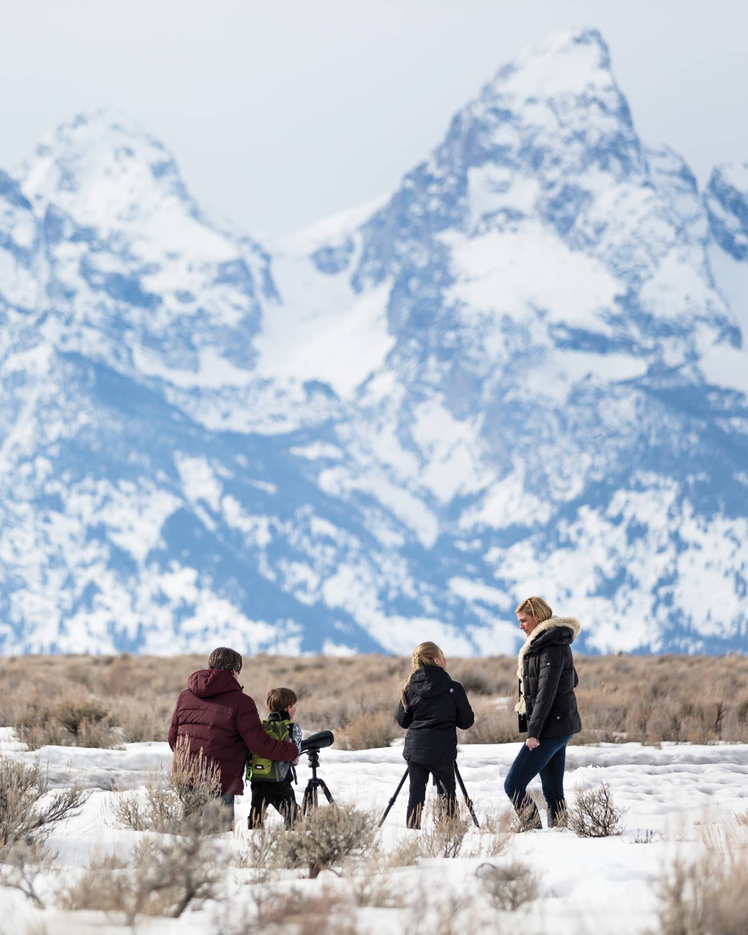 Four guests on a mountain with cameras