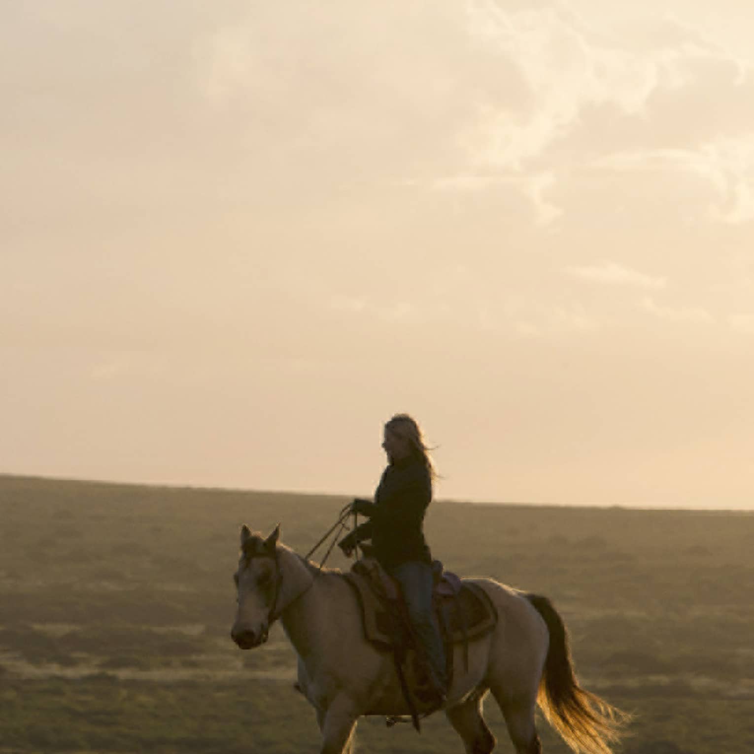 Rider on a horse following two unsaddled horses on a vast low hill silhouetted against a cloudy sky in the glow of sunset.