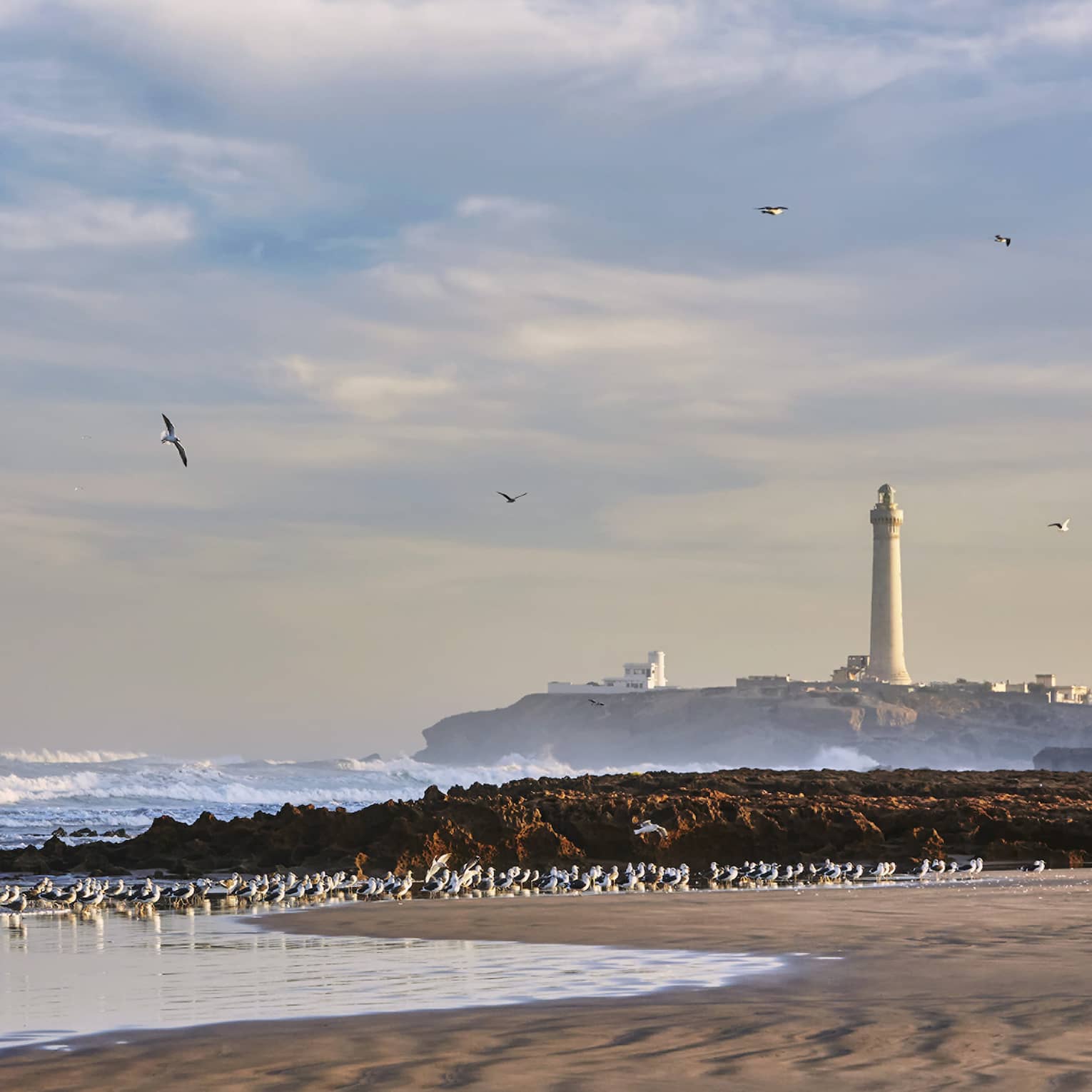 Seagulls like coast as waves roll in to golden beach by Four Seasons Casablanca hotel