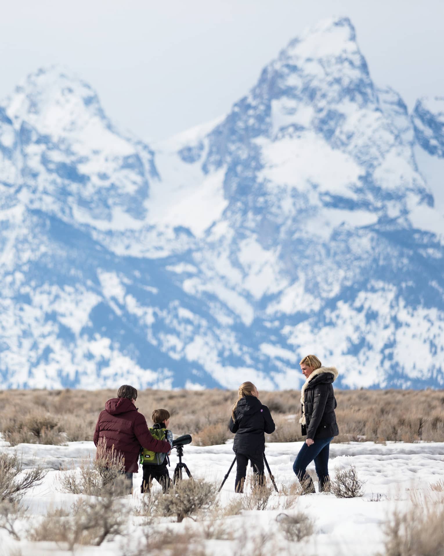 Four guests on a mountain with cameras