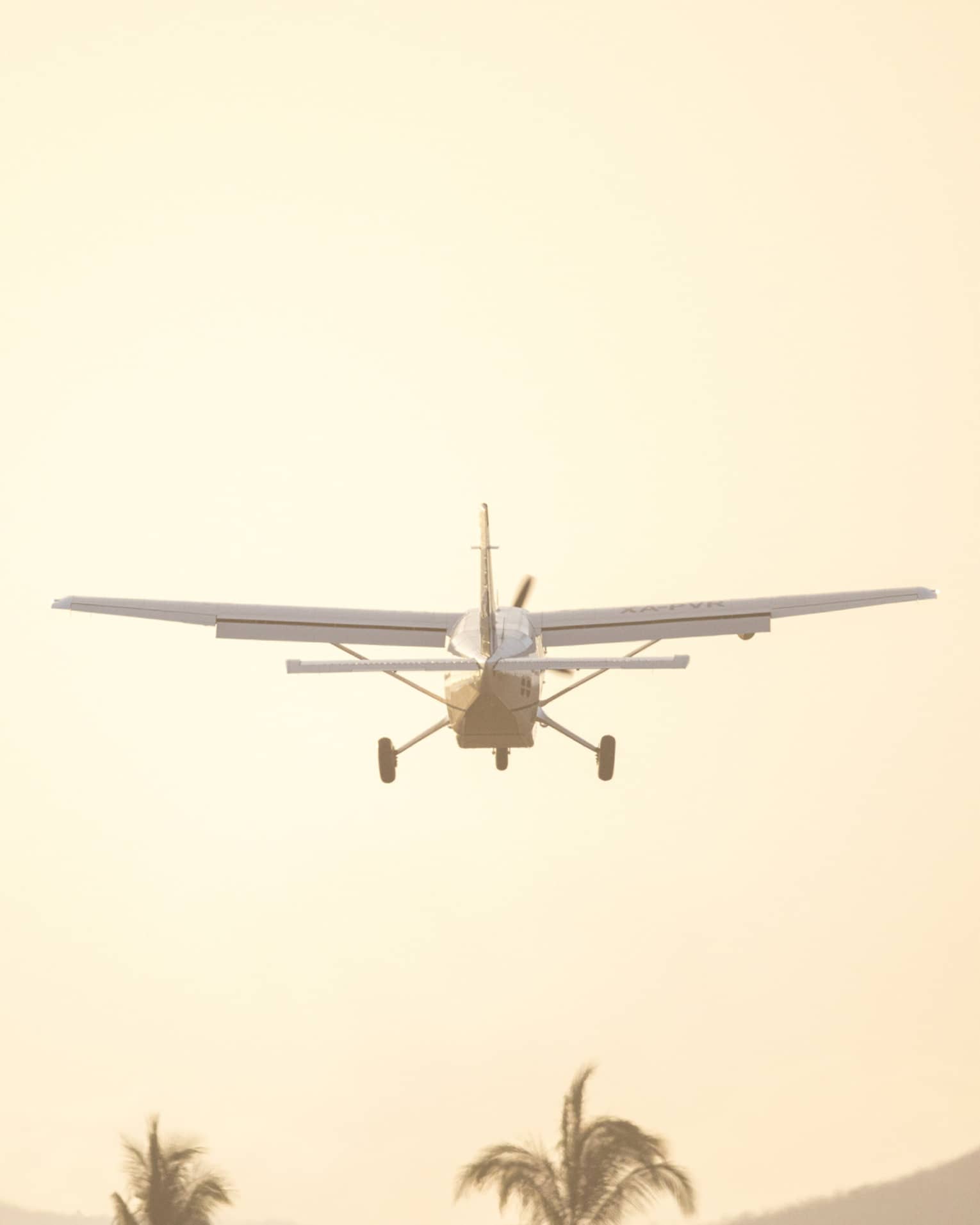 Airplane lands in tropical setting