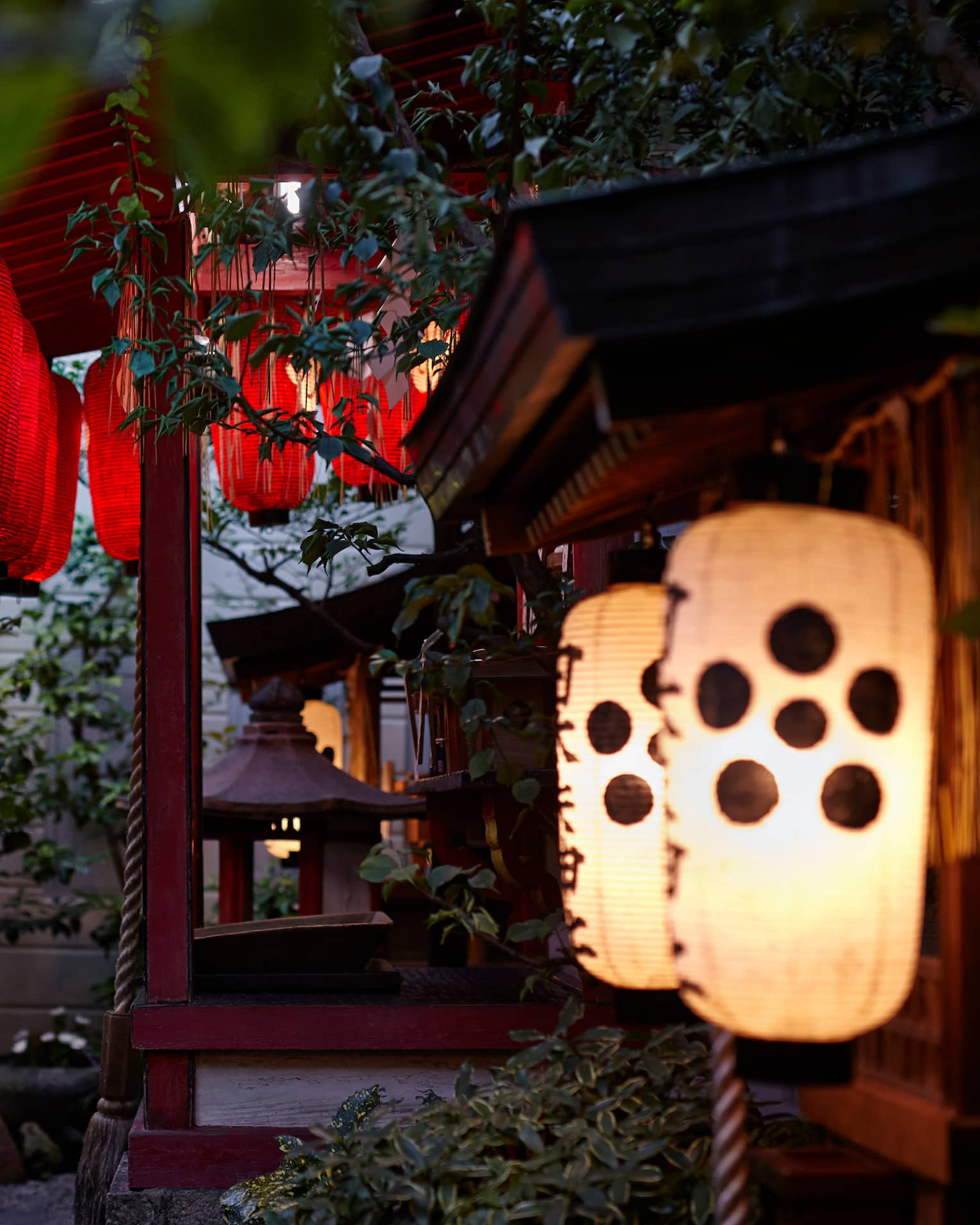 Red and white Japanese paper lanterns hanging from trees at night