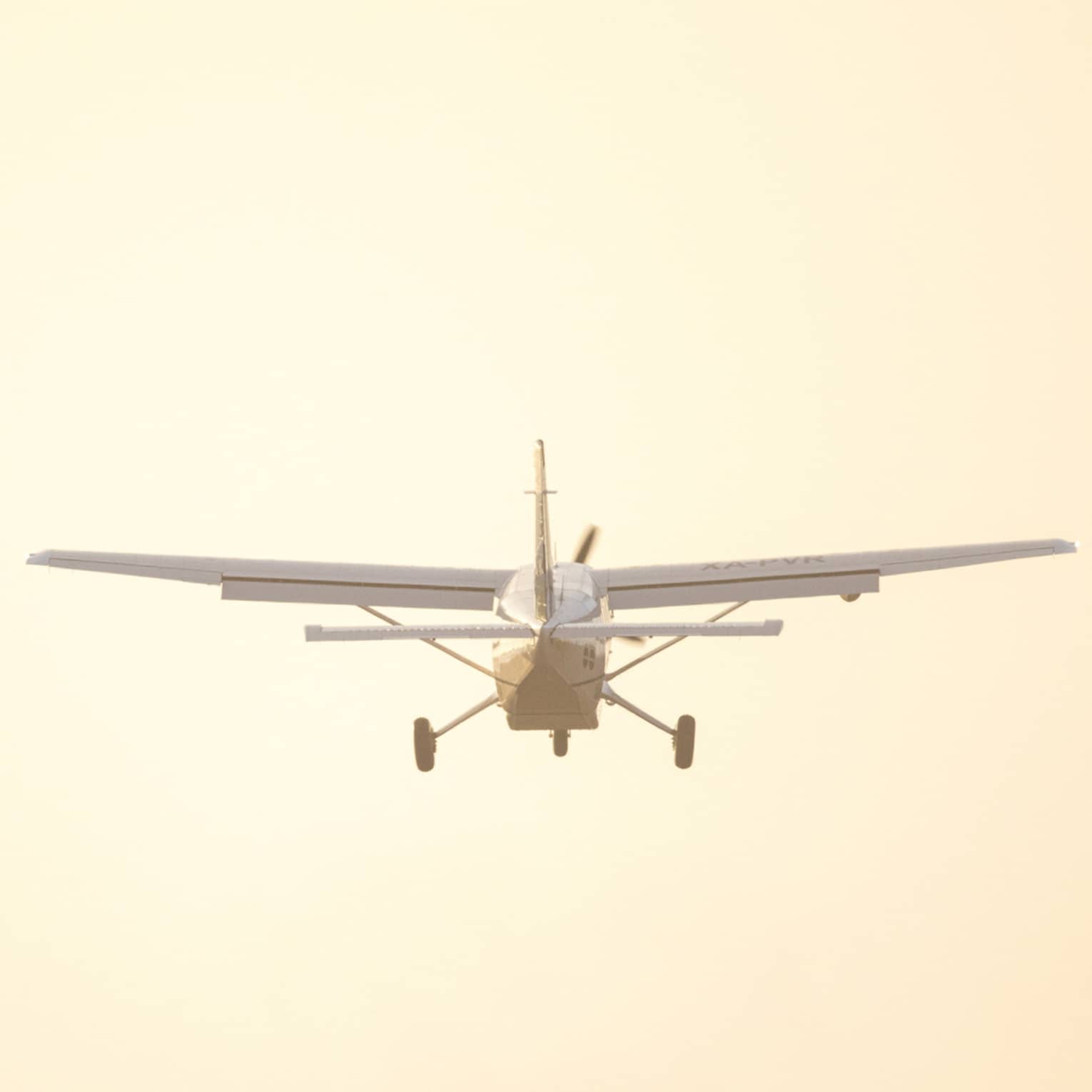 Airplane lands in tropical setting