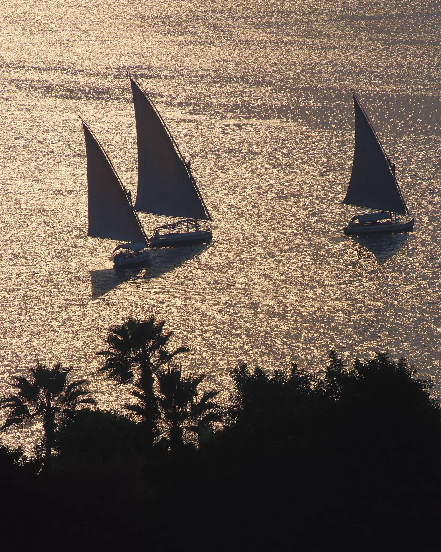 Silhouettes of three sailboats on Nile river at dusk