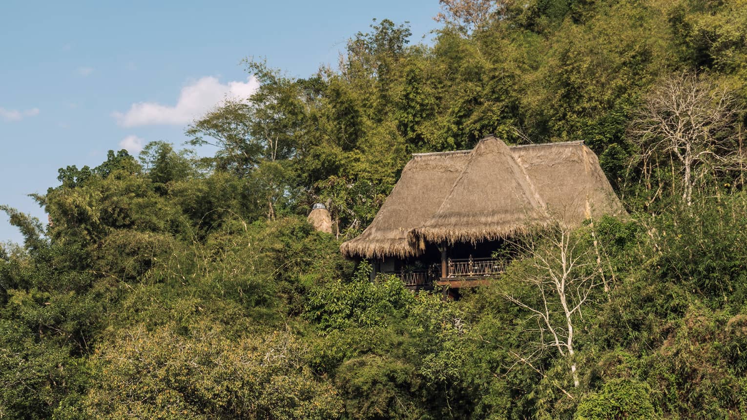 Looking up at thatched-roof bungalow in green mountain
