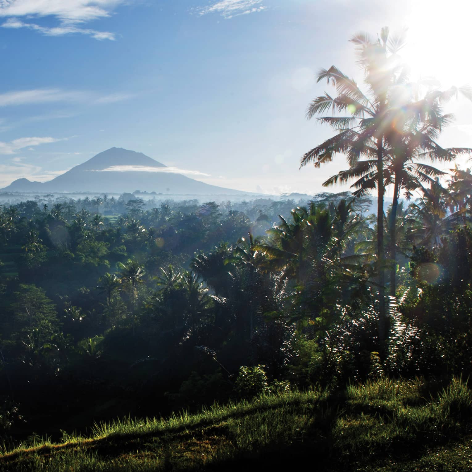 Distant volcanoes rise above the clouds and loom over a dense palm tree forest bathed in the glow of a blazing white sun.