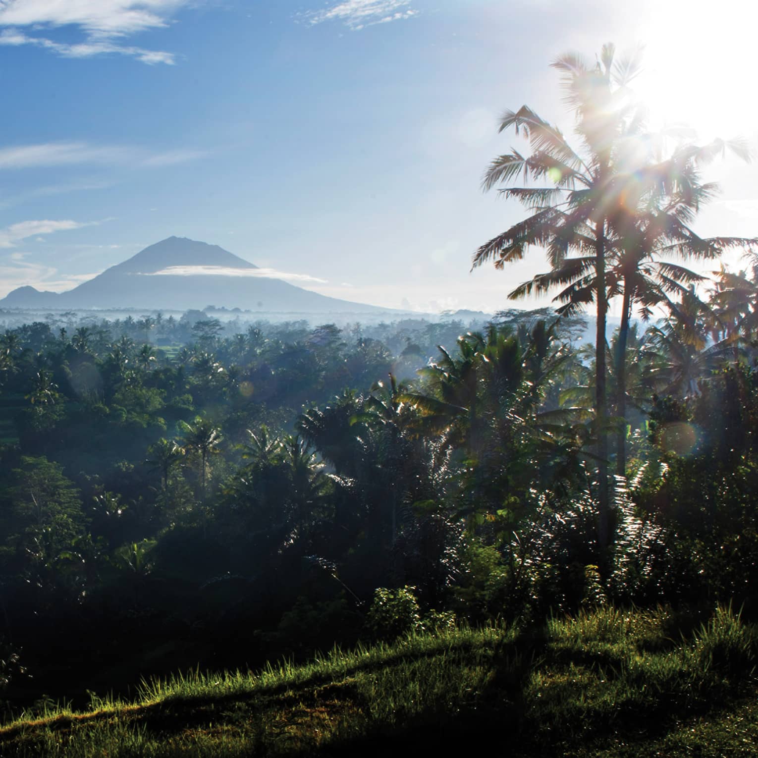Distant volcanoes rise above the clouds and loom over a dense palm tree forest bathed in the glow of a blazing white sun.