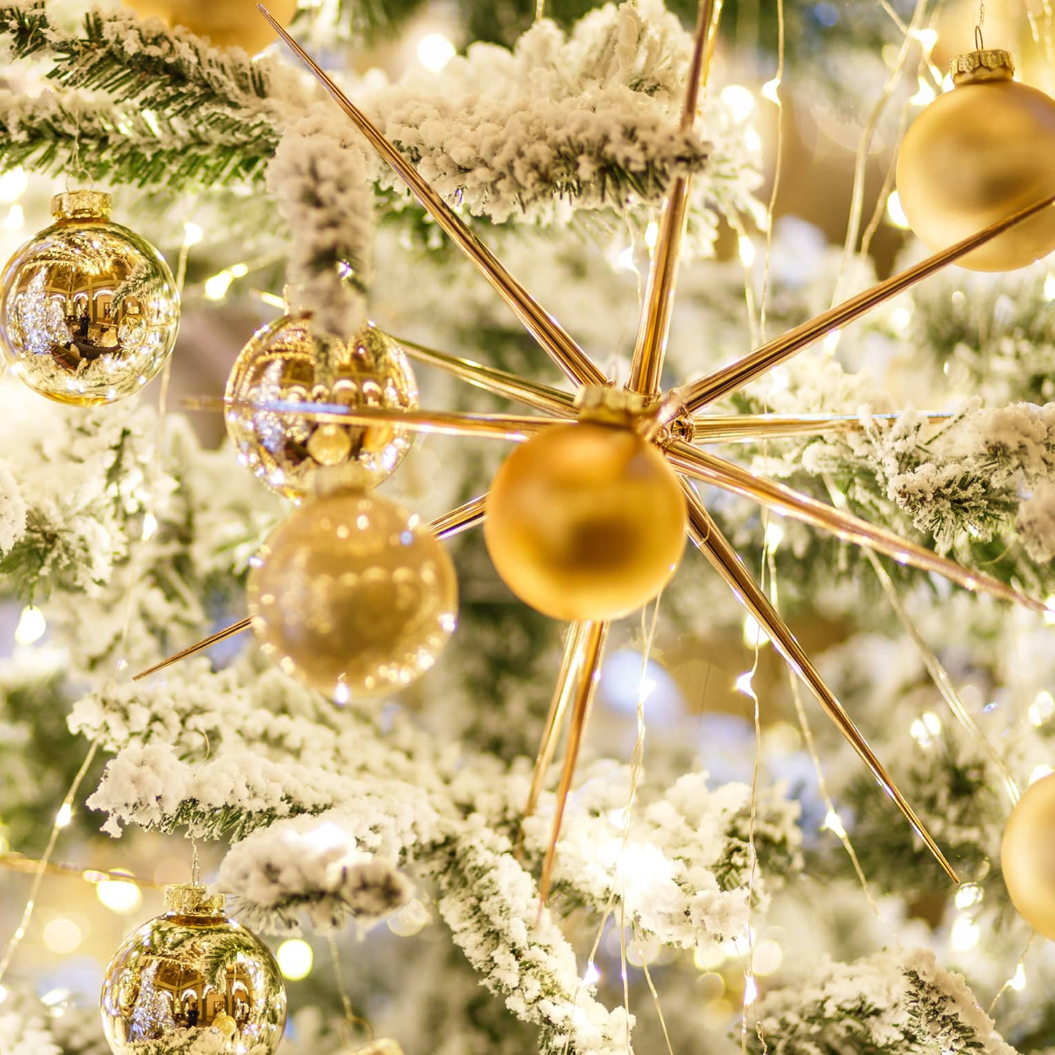 Several golden ornaments on a snow covered Christmas tree. 