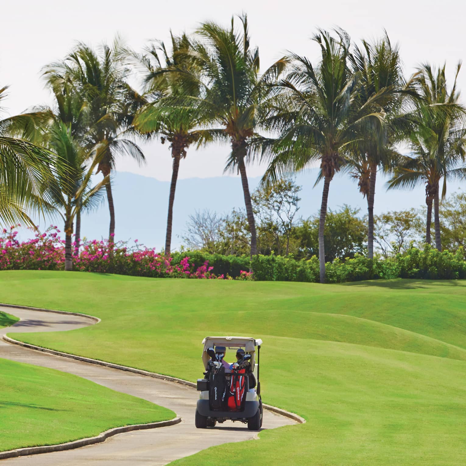 Back of golf cart driving down path on sunny golf course under palm trees