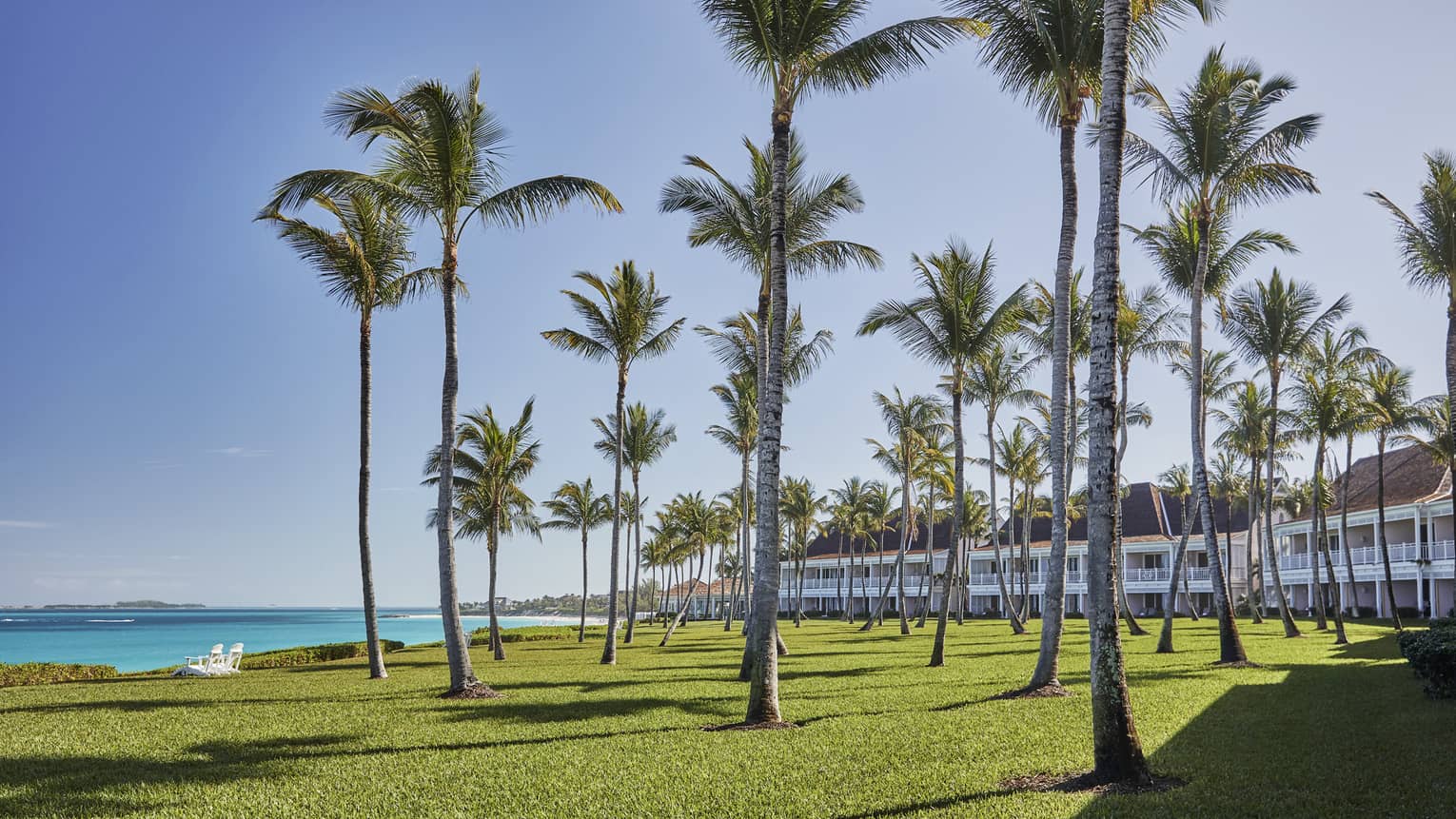 The sunny resort framed by trees 