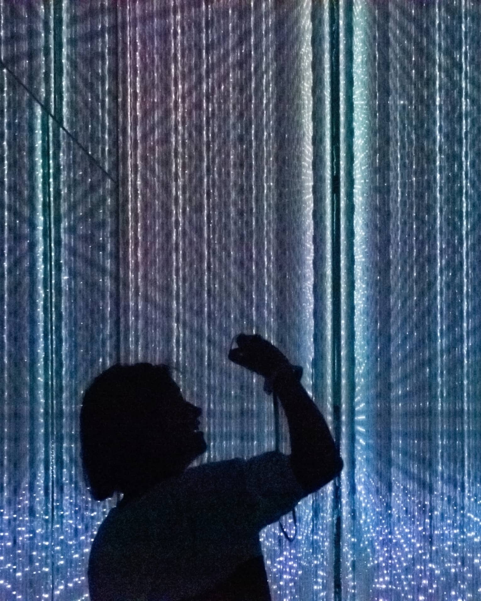 Silhouettes of people enjoying the digital art exhibit at Teamlab Planet