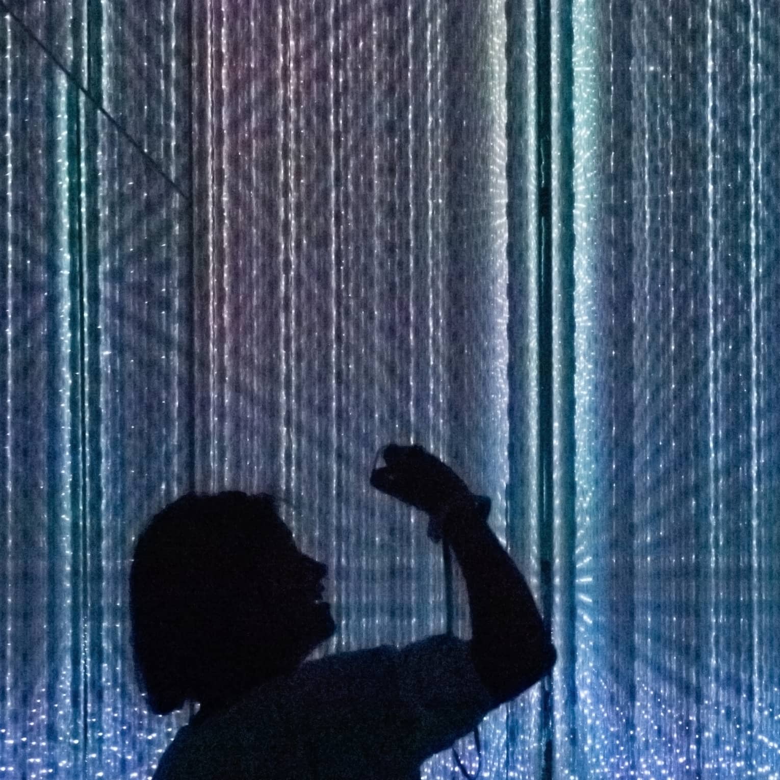 Silhouettes of people enjoying the digital art exhibit at Teamlab Planet