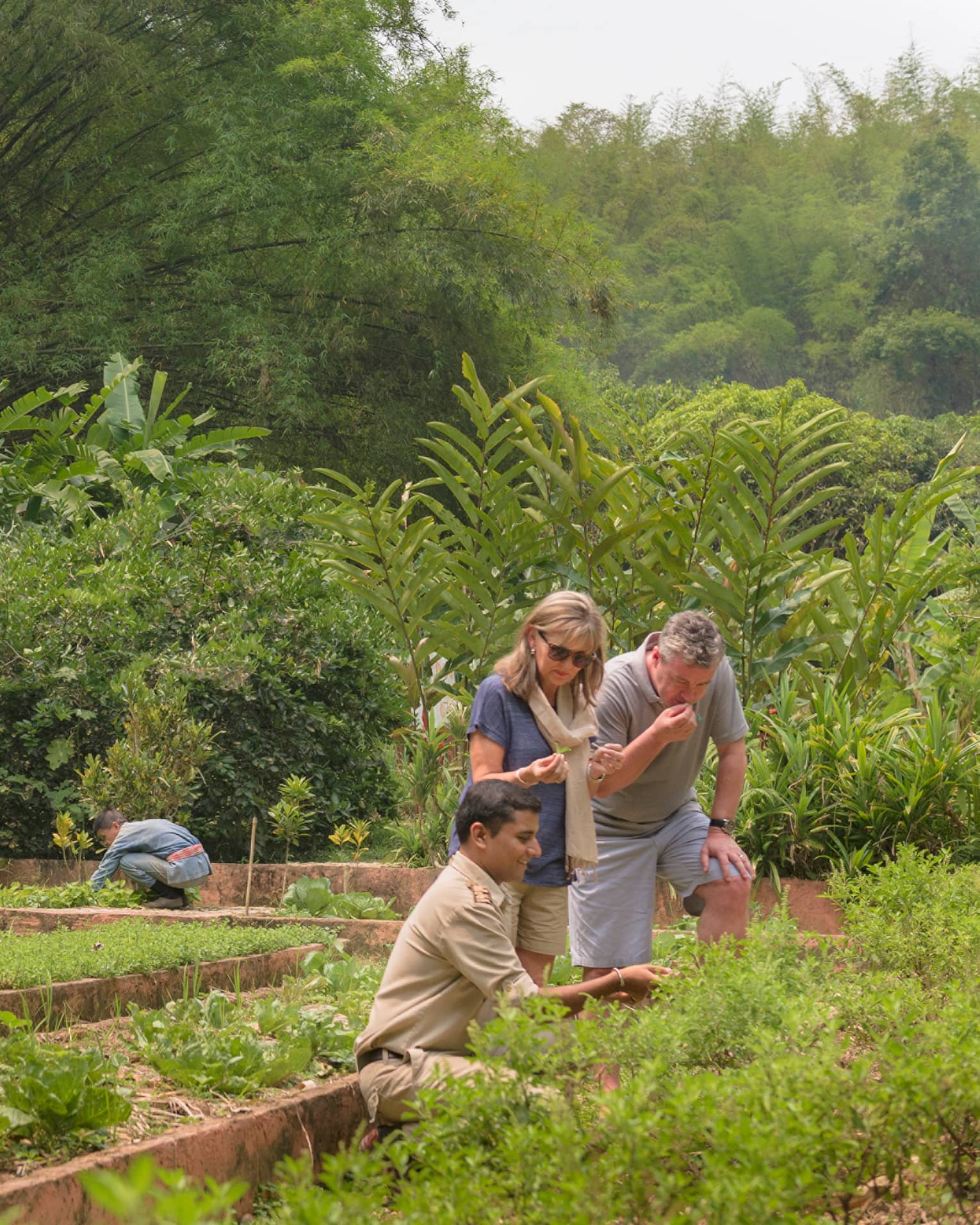 Couple is shown regional herbs, fruits and vegetables by kneeling staff member in lush garden