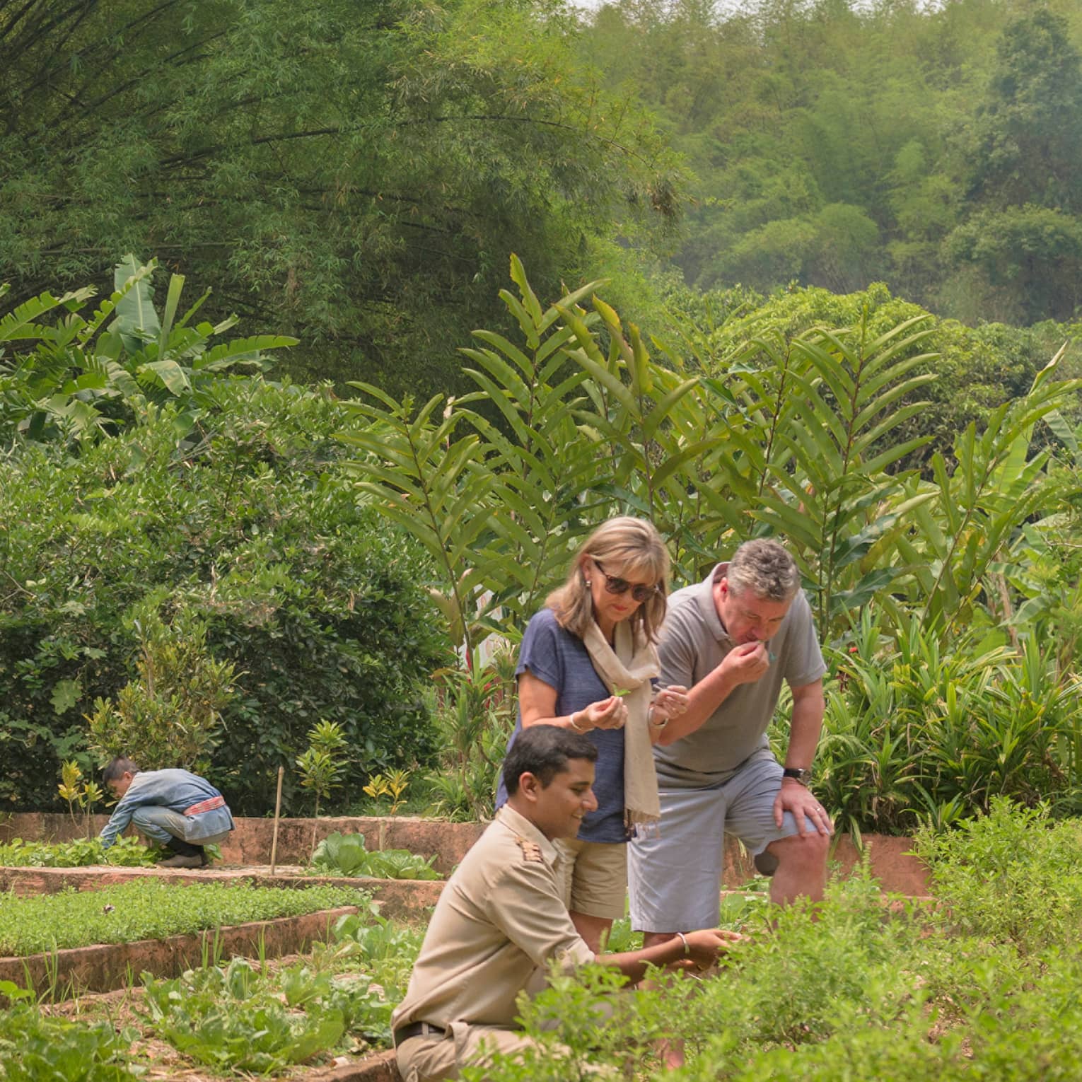 Couple is shown regional herbs, fruits and vegetables by kneeling staff member in lush garden
