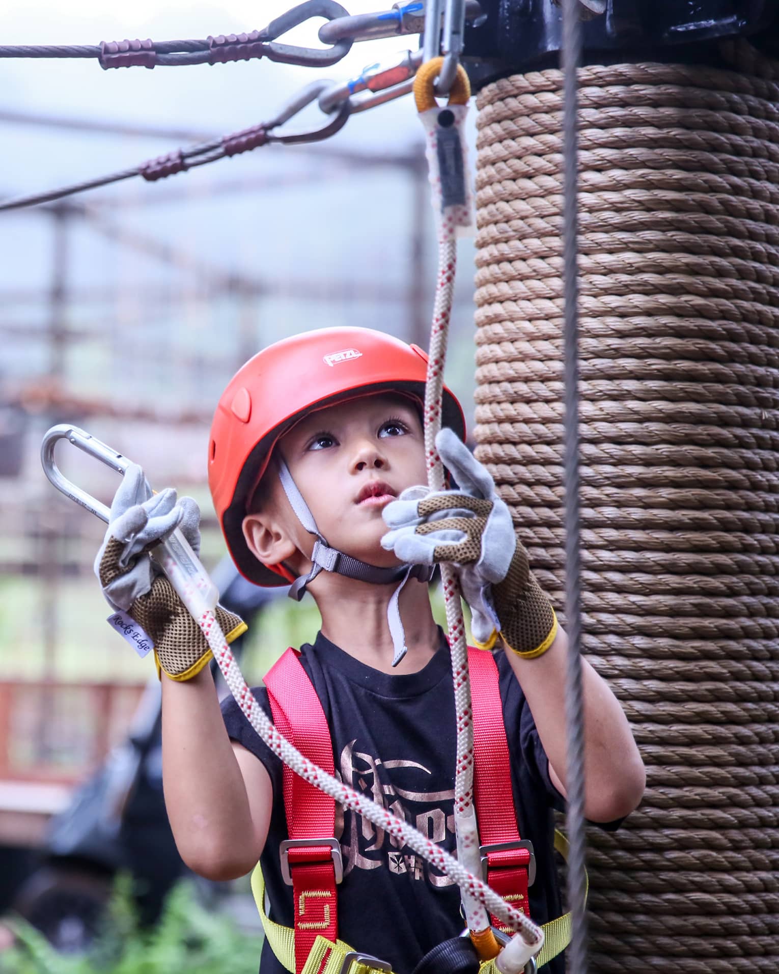 Young boy wearing helmet and harness holds clips and ropes