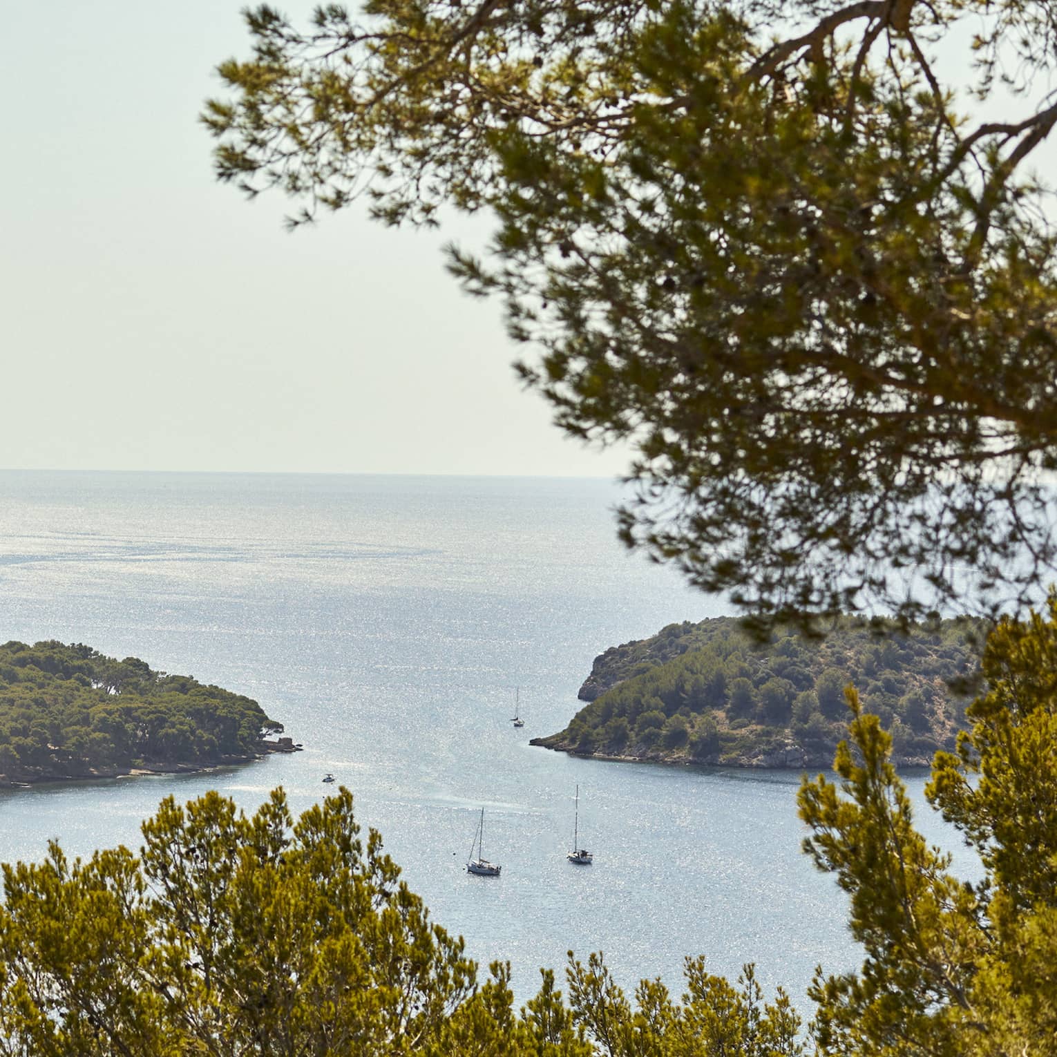 Hilltop view of a resort nestled among trees overlooking a shimmering bay dotted with sailboats and wide ocean vista beyond.