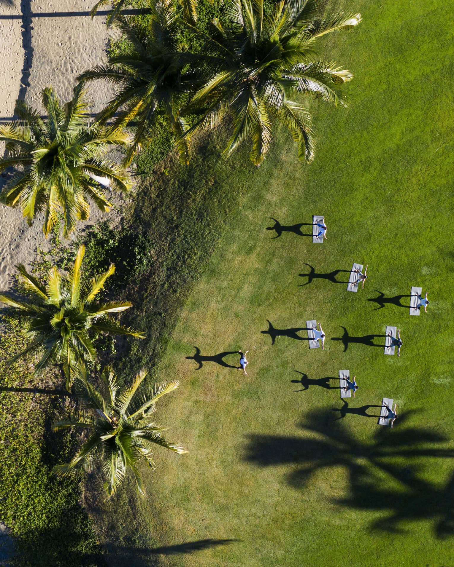 The ocean shore transitions to grass with palm trees.