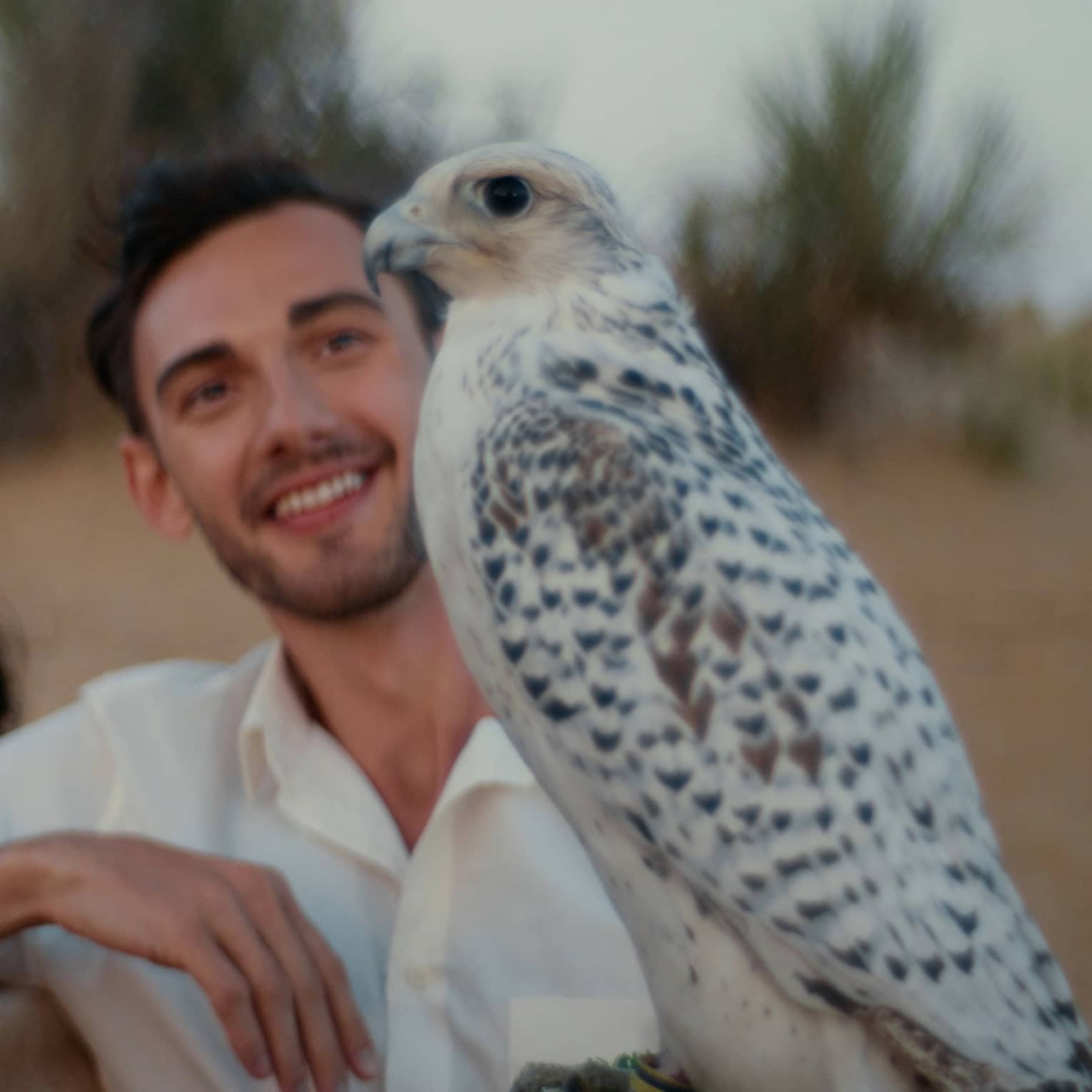 A couple sit next to an Arabian Oryx in the desert.