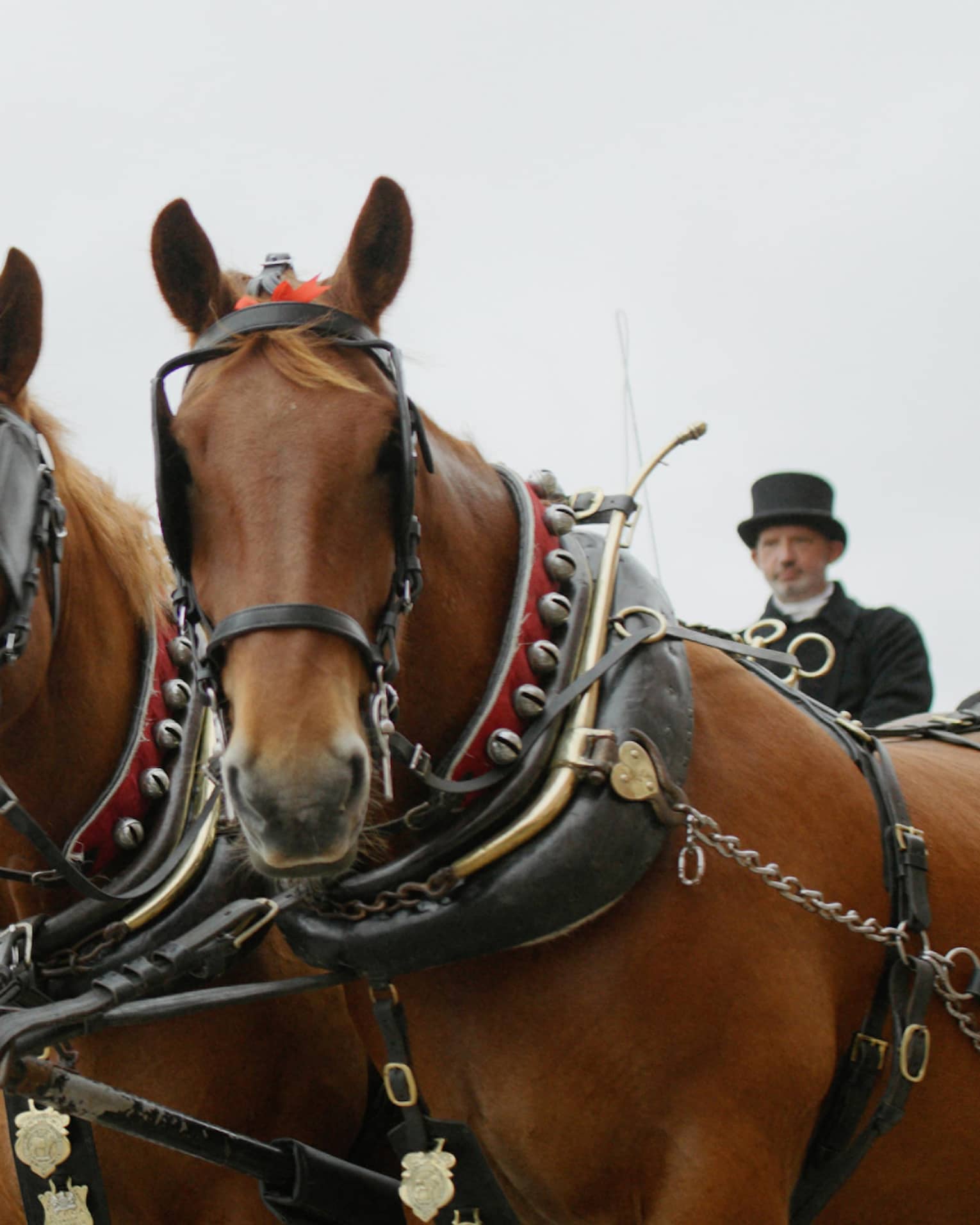 Two men in black top hats and overcoats atop carriage pulled by two brown horses