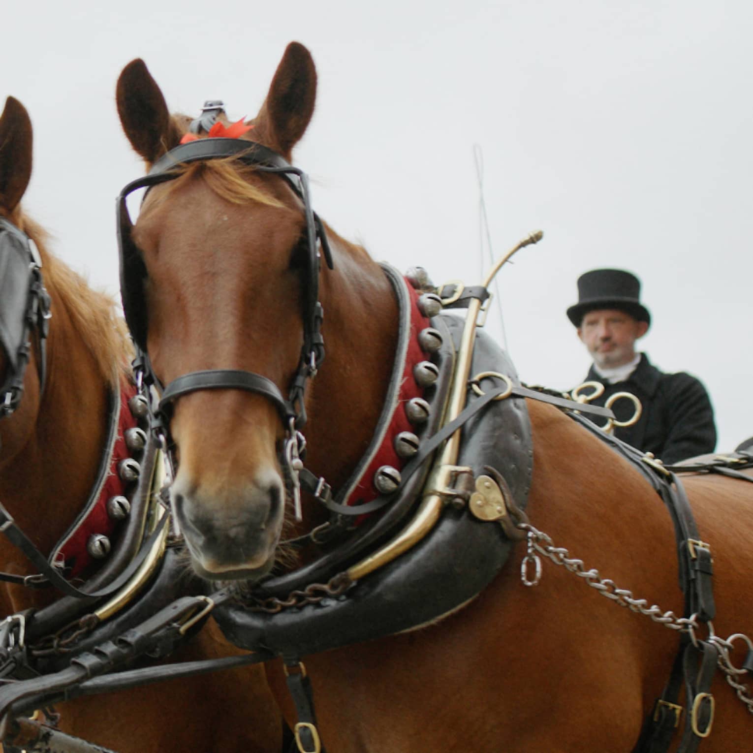 Two men in black top hats and overcoats atop carriage pulled by two brown horses