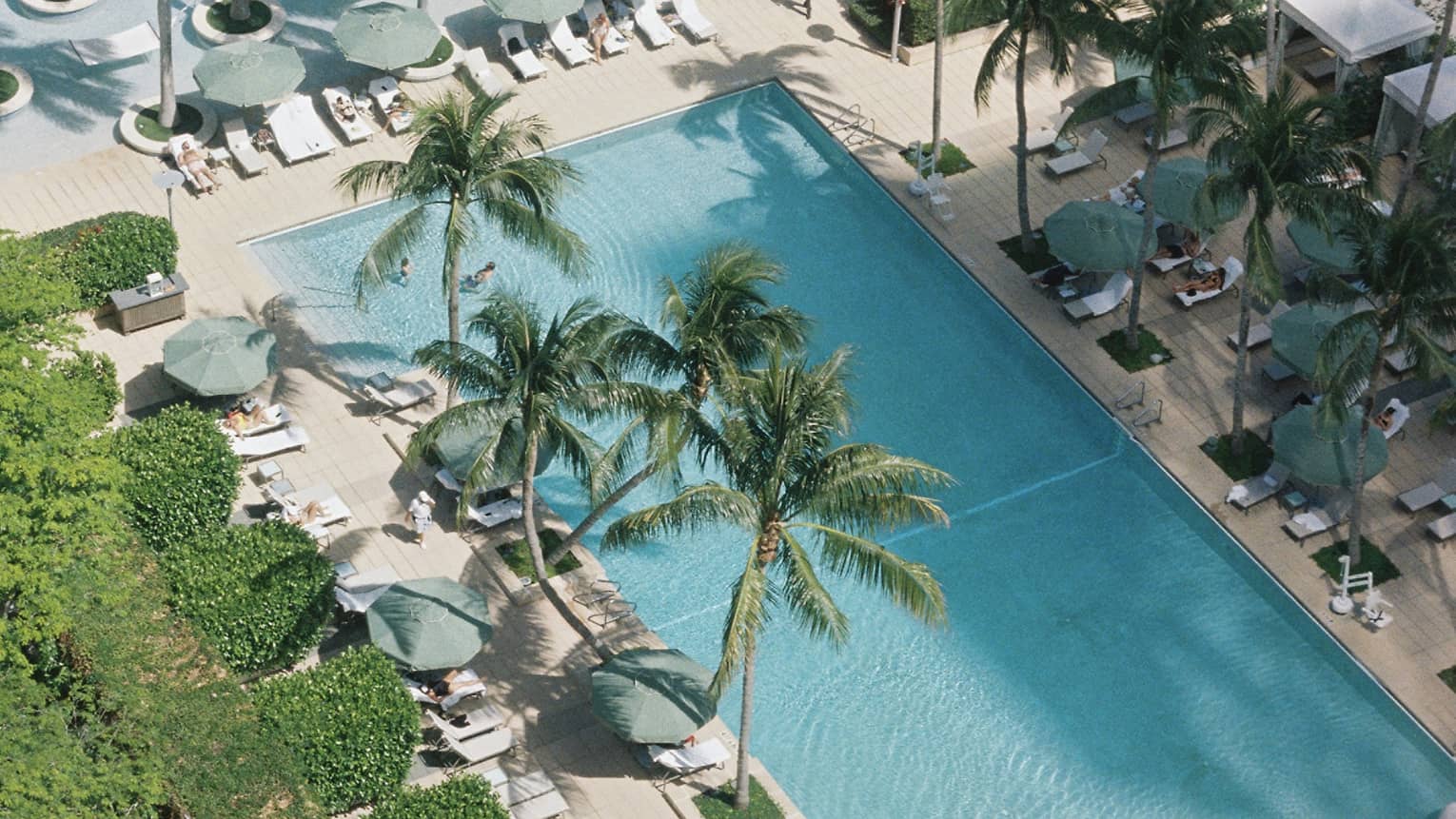 Aerial view of pool, trees and sun loungers at Four Seasons Hotel Miami