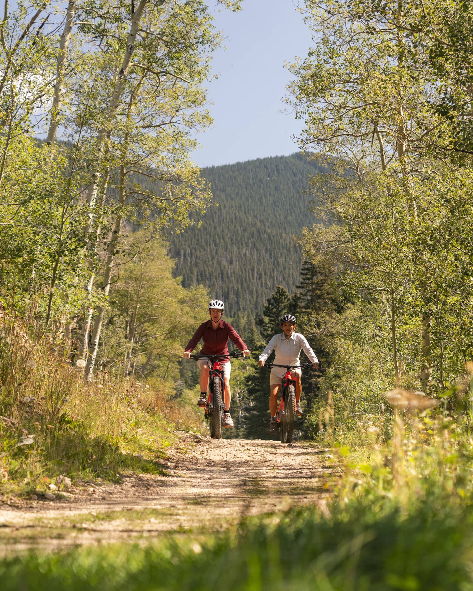 Two people biking down a trail surrounded by thin trees.