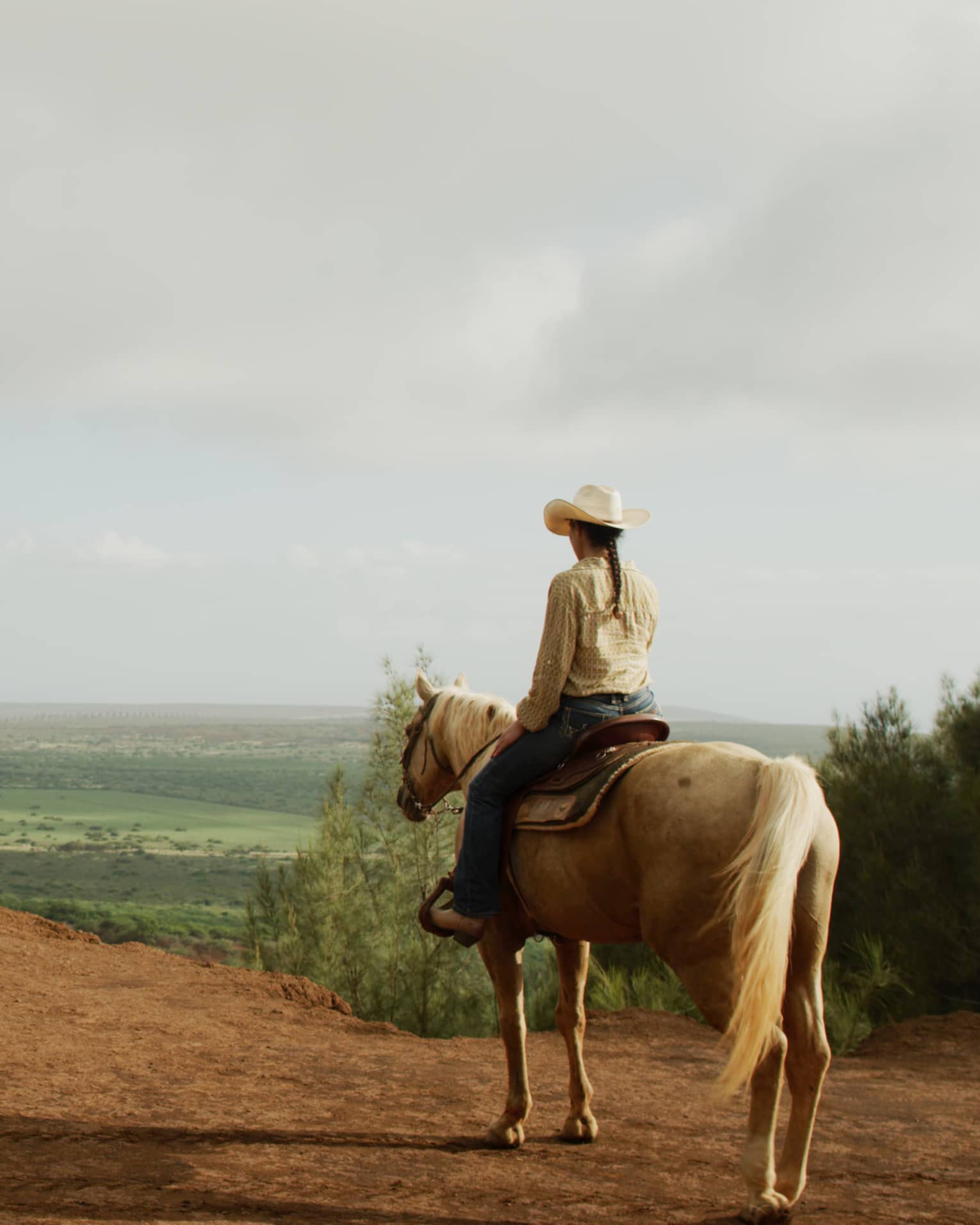 On a dirt track bordered by brush, rear view of a person on a golden horse viewing a green valley with distant houses beyond.