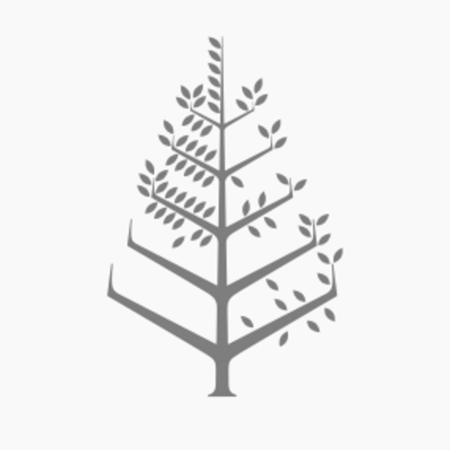 Four Seasons logo in a High contrast colour on a white background