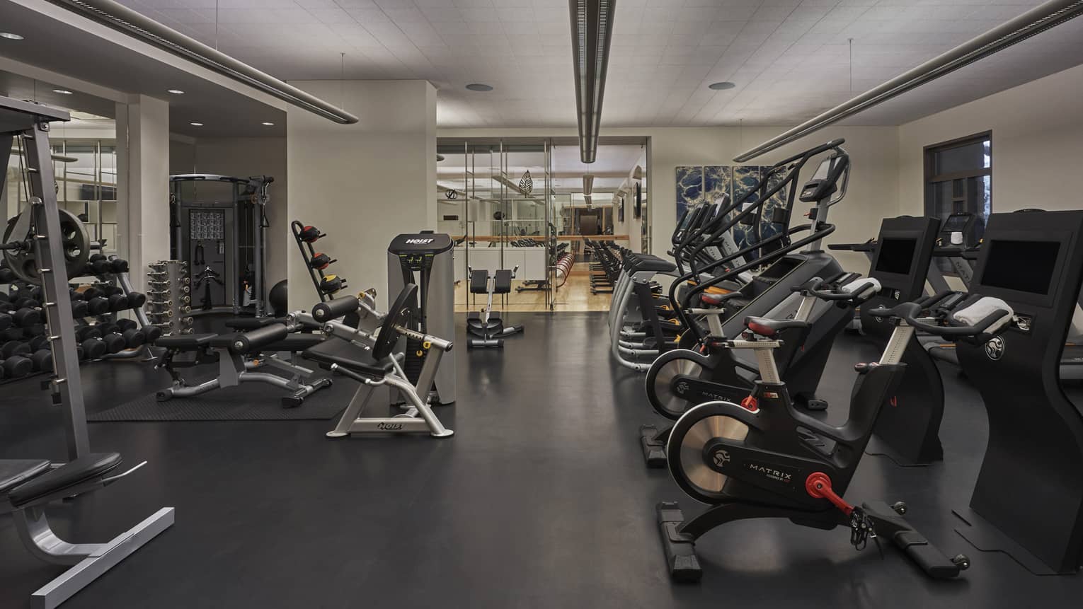 Indoor gym, white walls, black floors, various weight-training and cardio machines