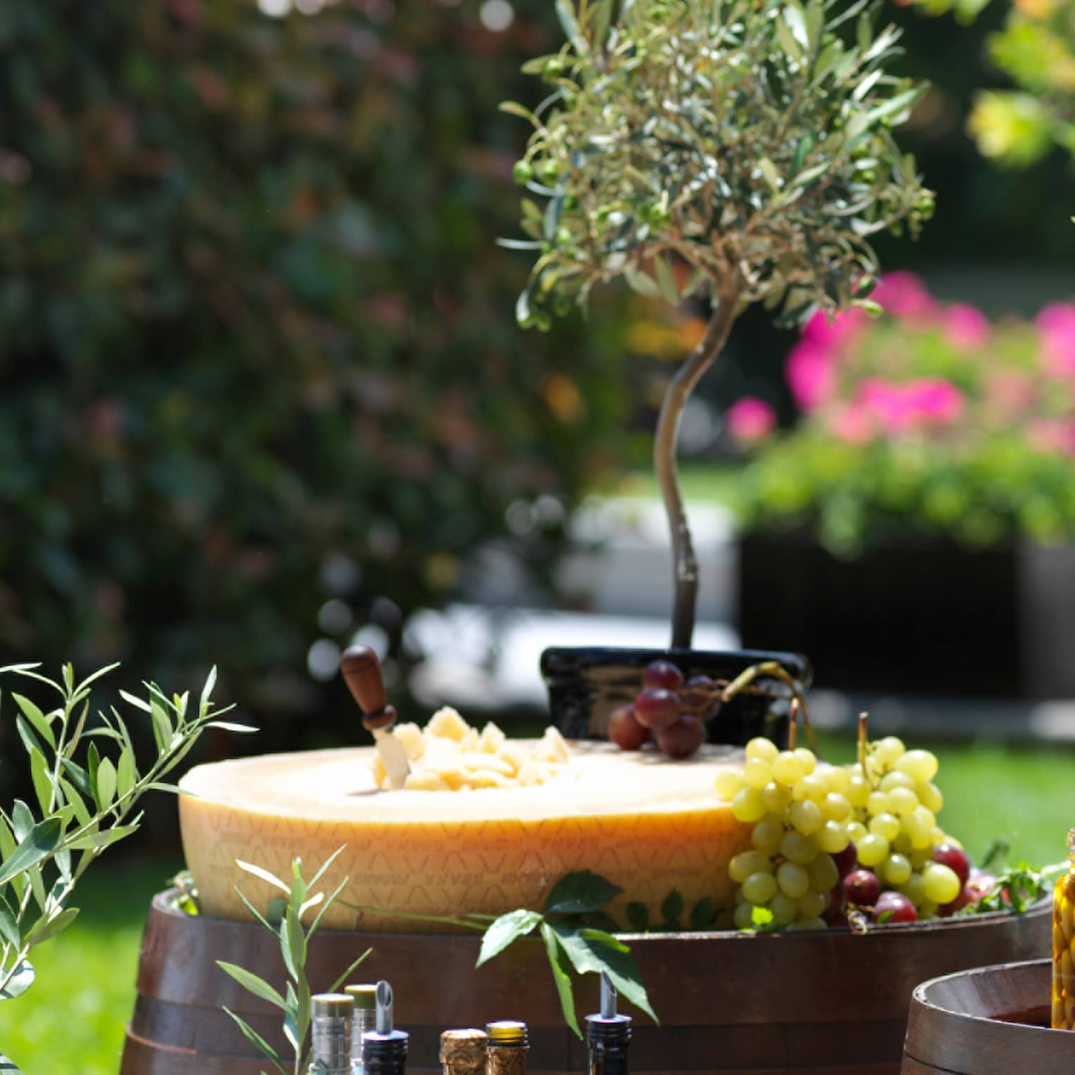Potted olive trees, jars of olives, bottles of oil, a Parmesan cheese wheel, and grapes served atop two barrels in a garden.