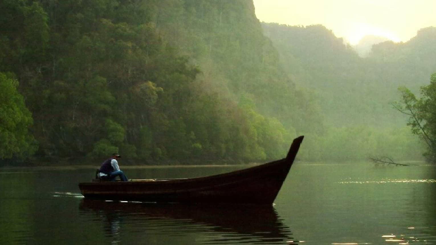 Boat on the river looking out on the mangroves