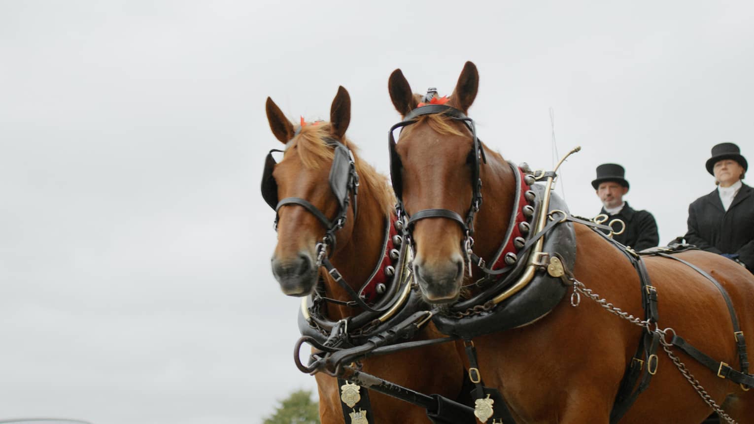 Two men in black top hats and overcoats atop carriage pulled by two brown horses