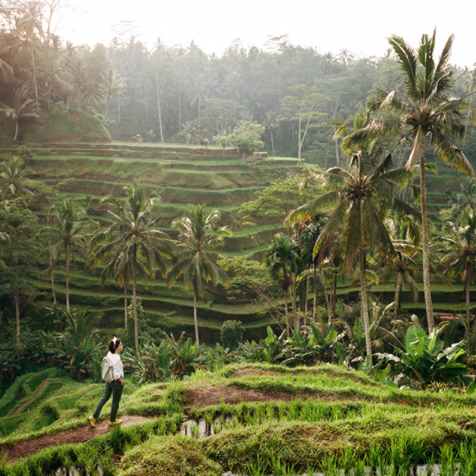 Side view of a guest strolling along a grass-lined trail, palm trees and tiered rice terraces rising in the lush distance.