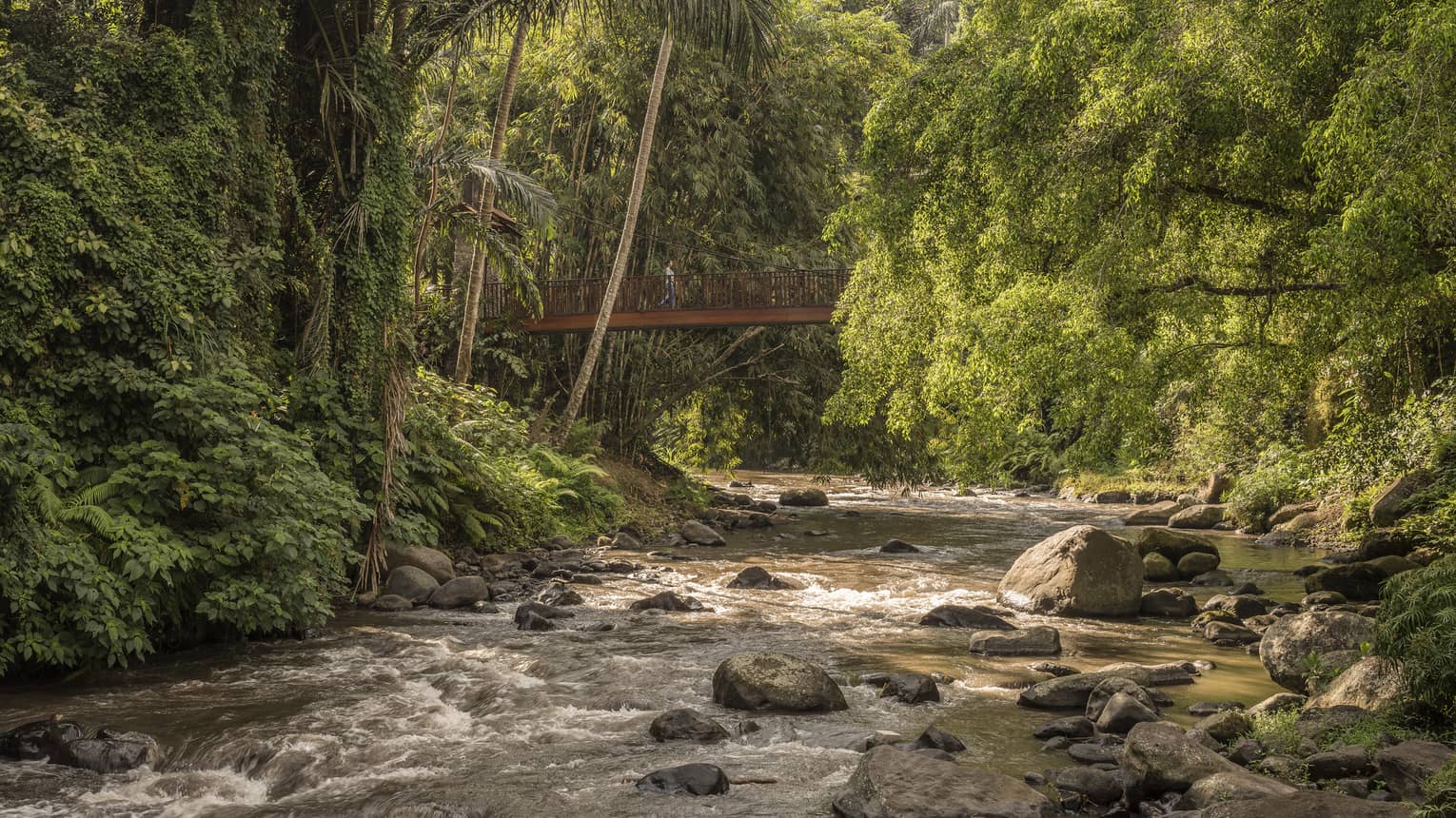 Sayan Bridge extends over a roaring river that flows around rocks and is surrounded by lush vegetation