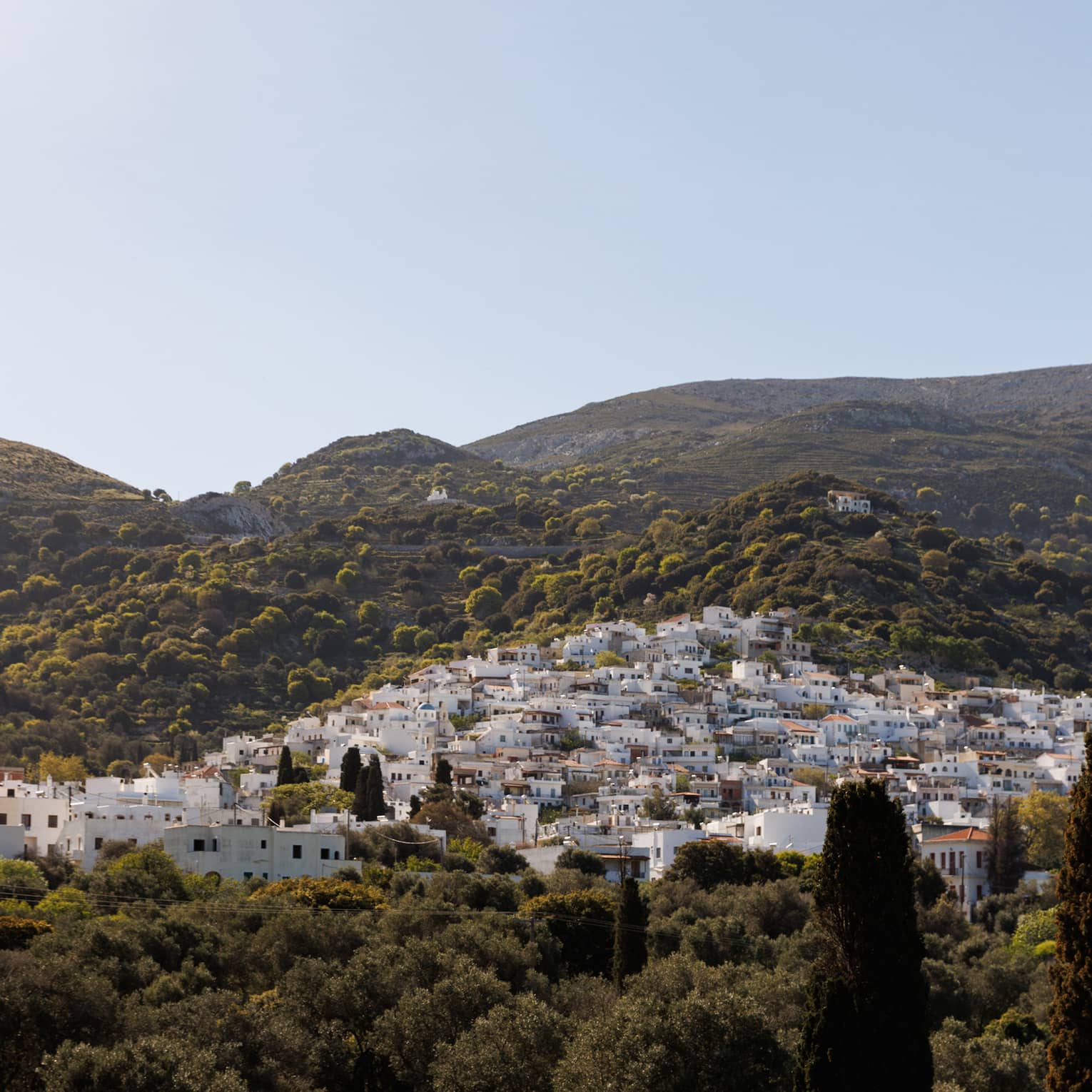 A cluster of white buildings nestled into the rolling sunlit hillside and surrounded by fields and trees. 
