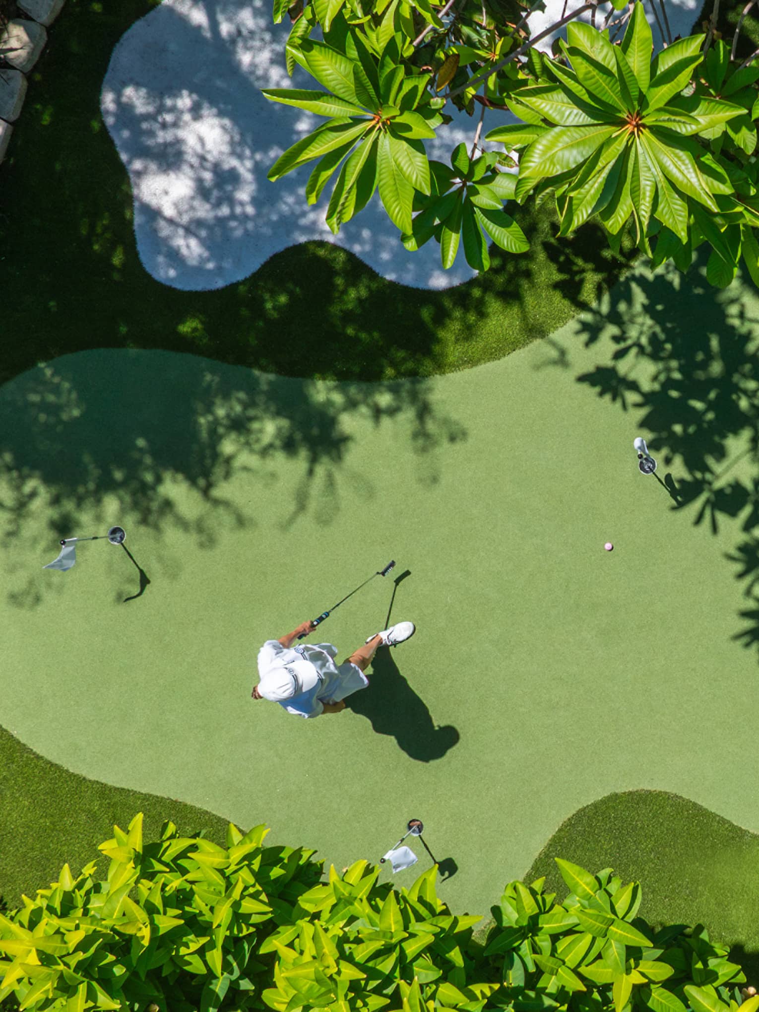 Bird's-eye view of a verdant putting green surrounded by manicured grass and palm trees
