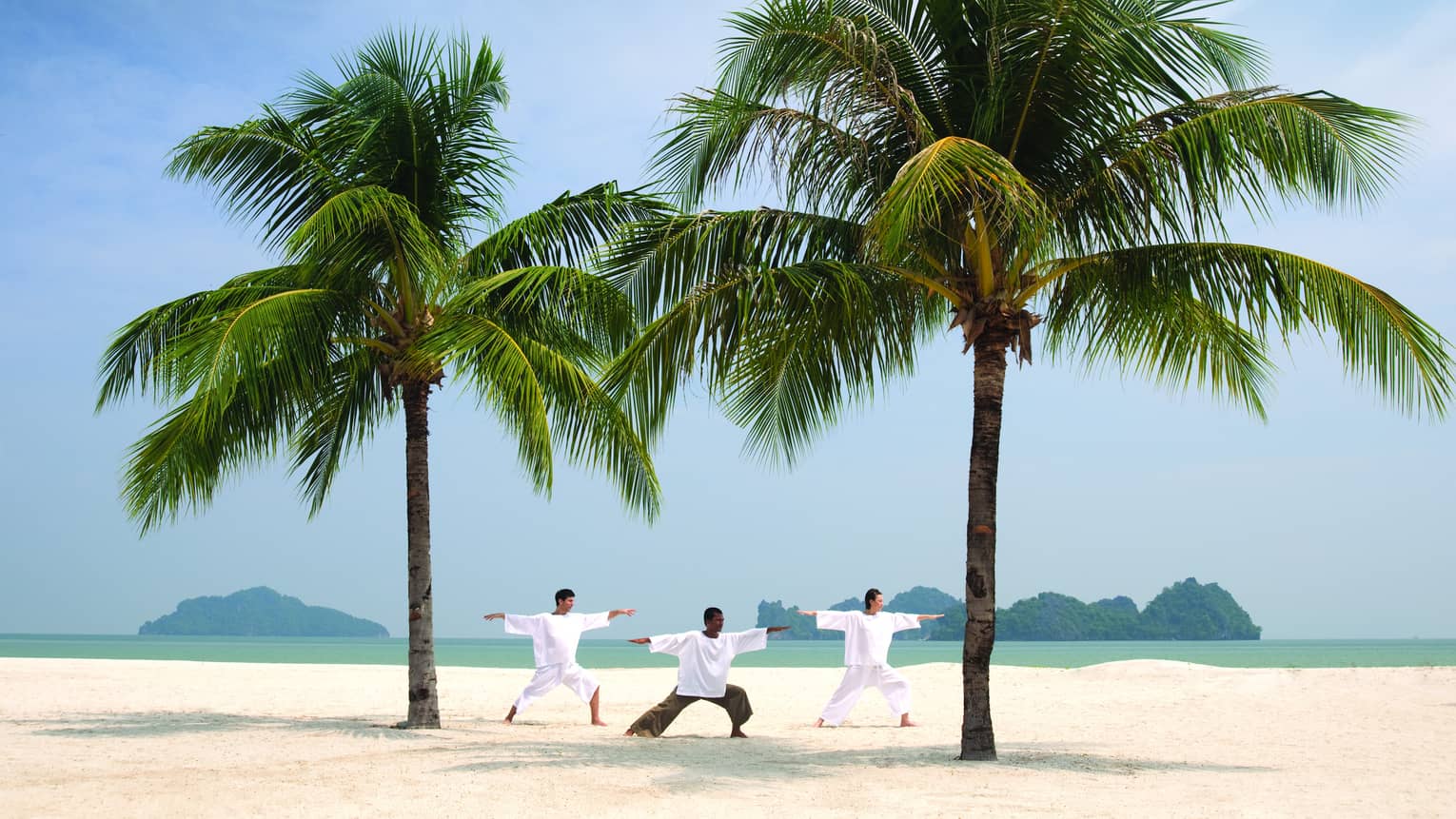 Three people stretch, balance in yoga poses between two large palms on beach