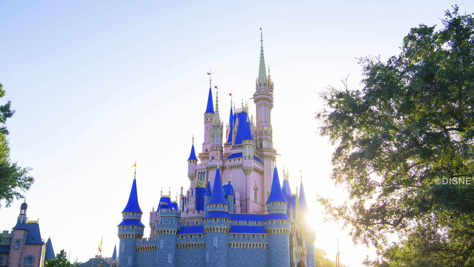 A pink, blue and white castle with sunlight behind it and it behind trees.