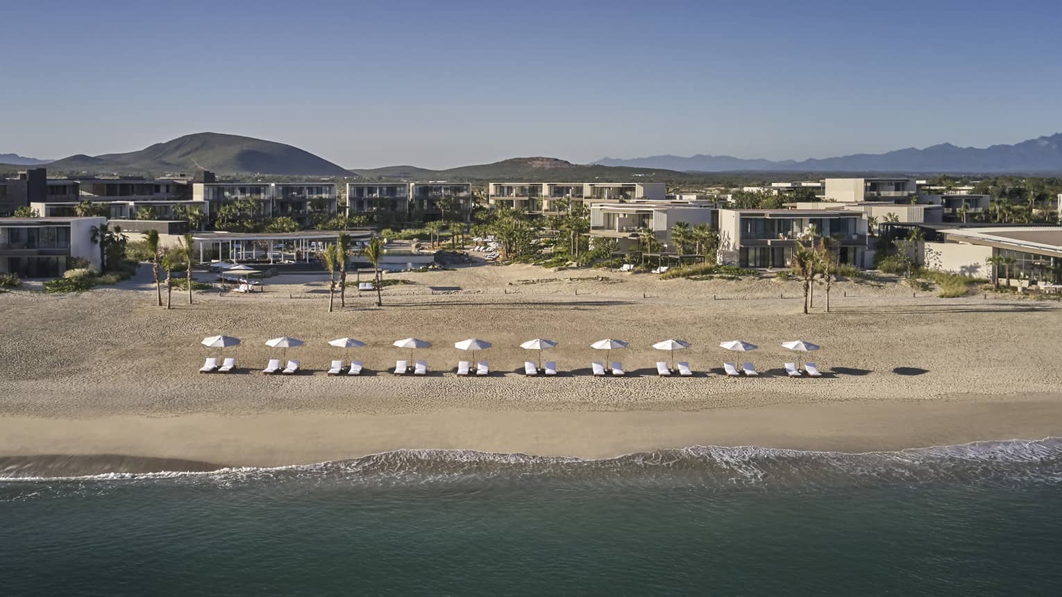 An aerial view of lounge chairs and umbrellas lining the beach with the four seasons resort los cabos behind them