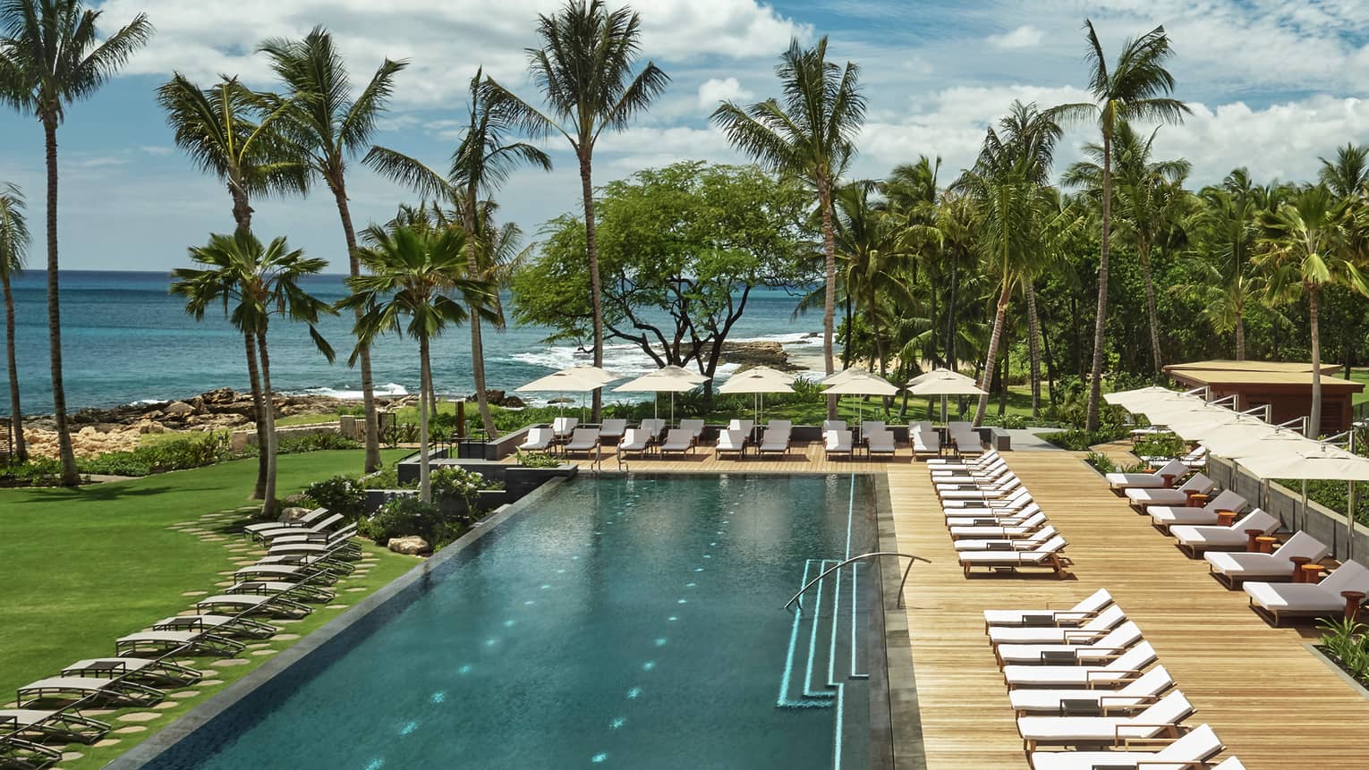 Long spa and wellness pool with lounge chairs on deck, green lawn, palms