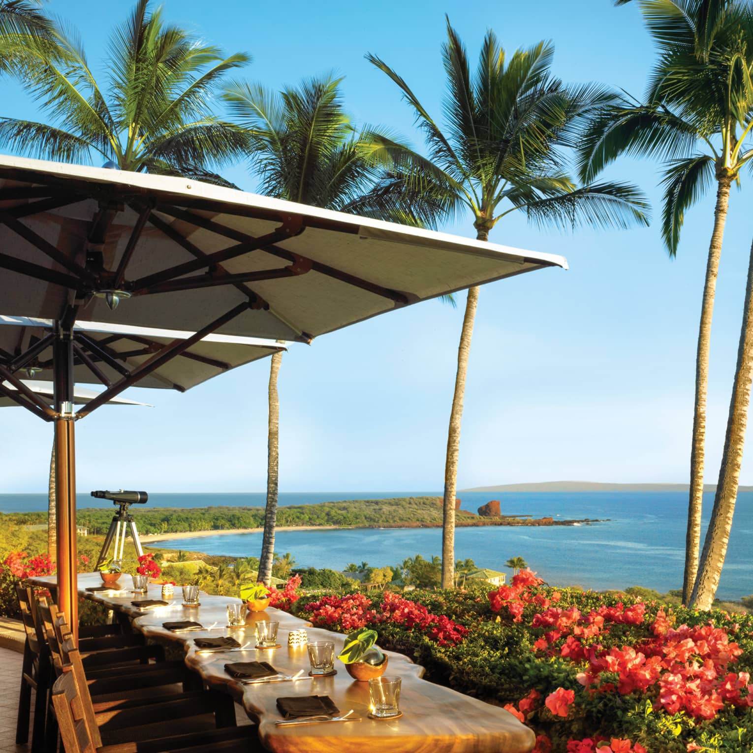 Sunny Views Restaurant patio, chairs line rustic wood bar in front of tropical garden, ocean views