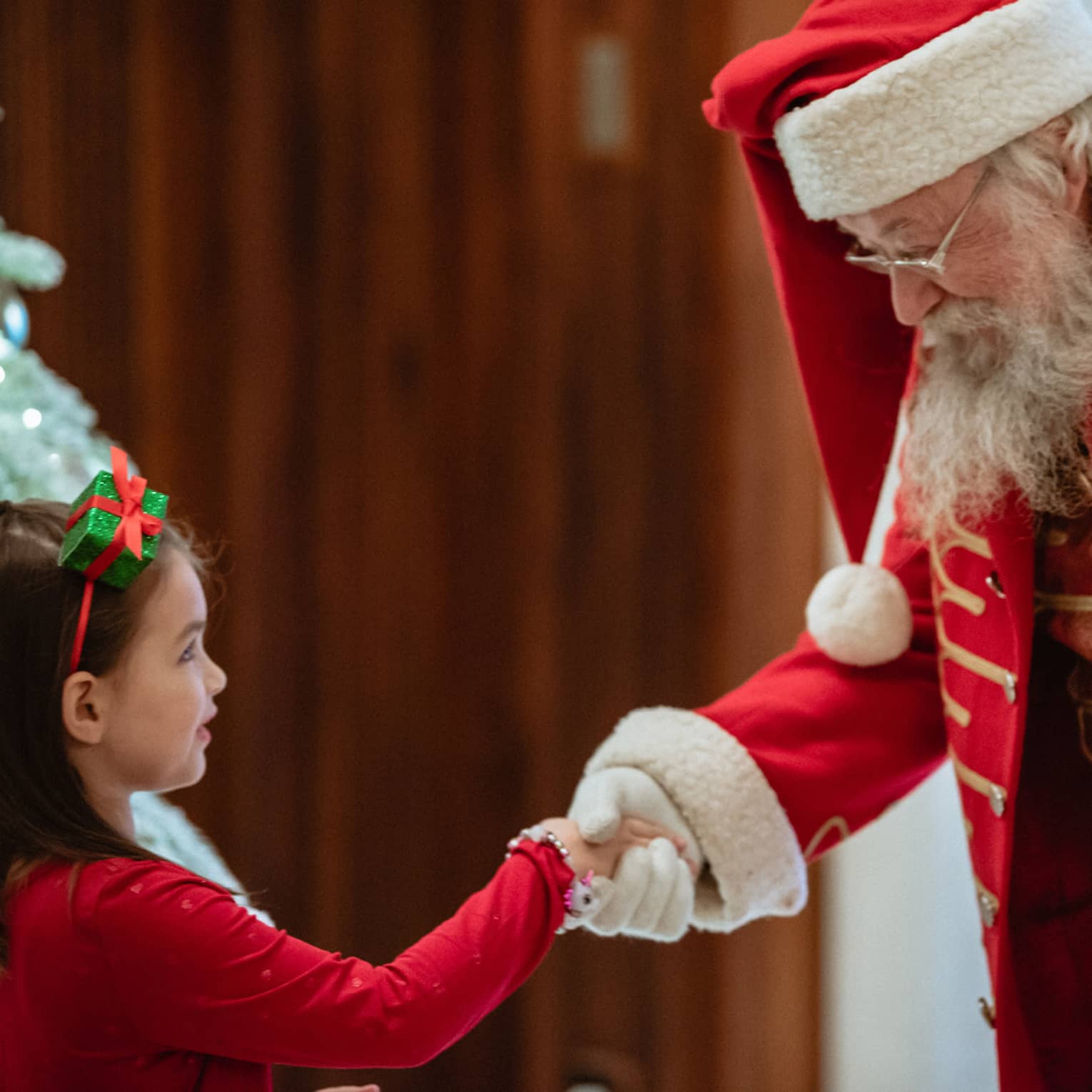 A man dressed as Santa Claus shakes little girl's hand