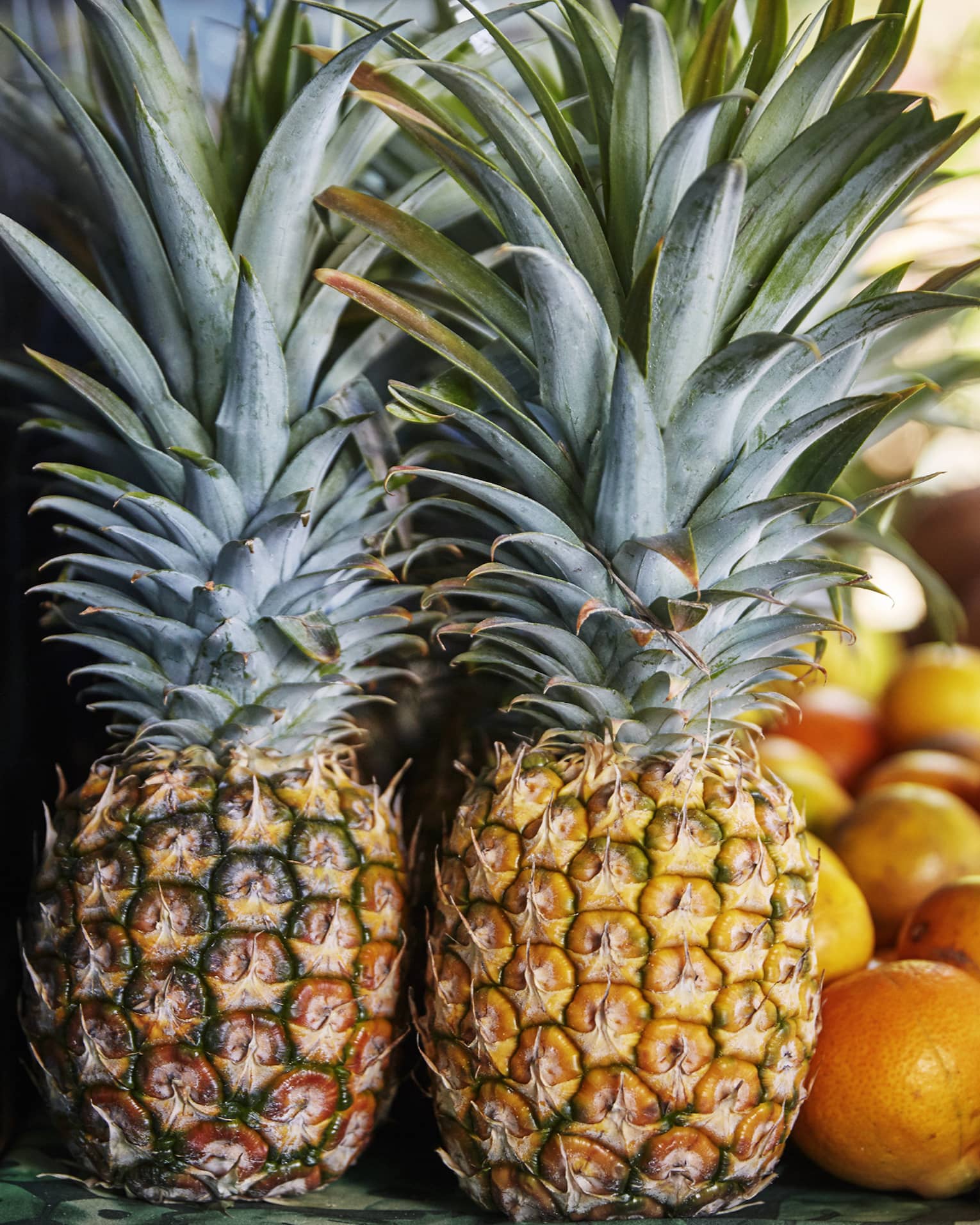 Two whole pineapples next to oranges on table